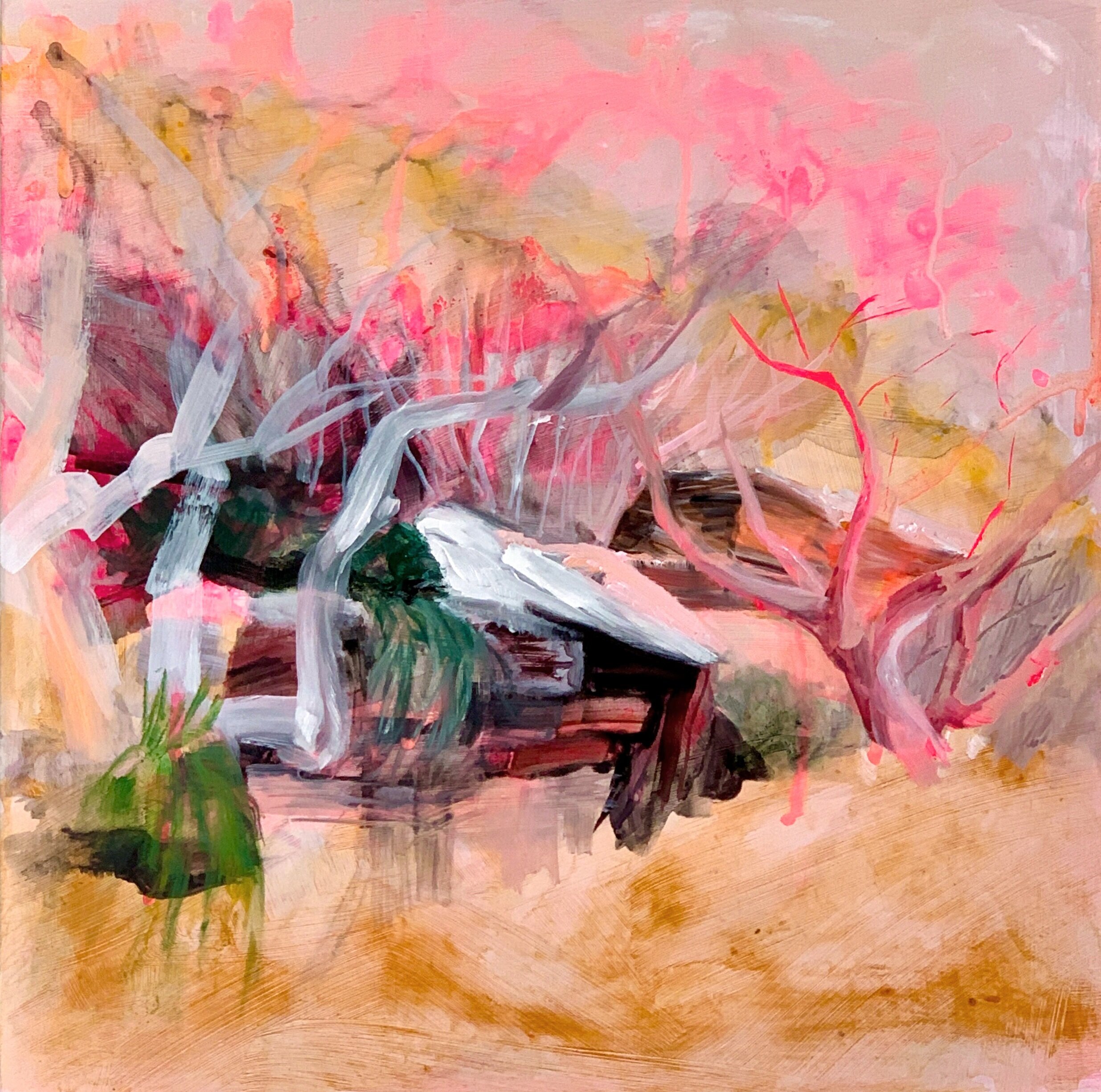 Recess (Royal National Park series) 2021 acrylic and oil on board 30 x 30cm