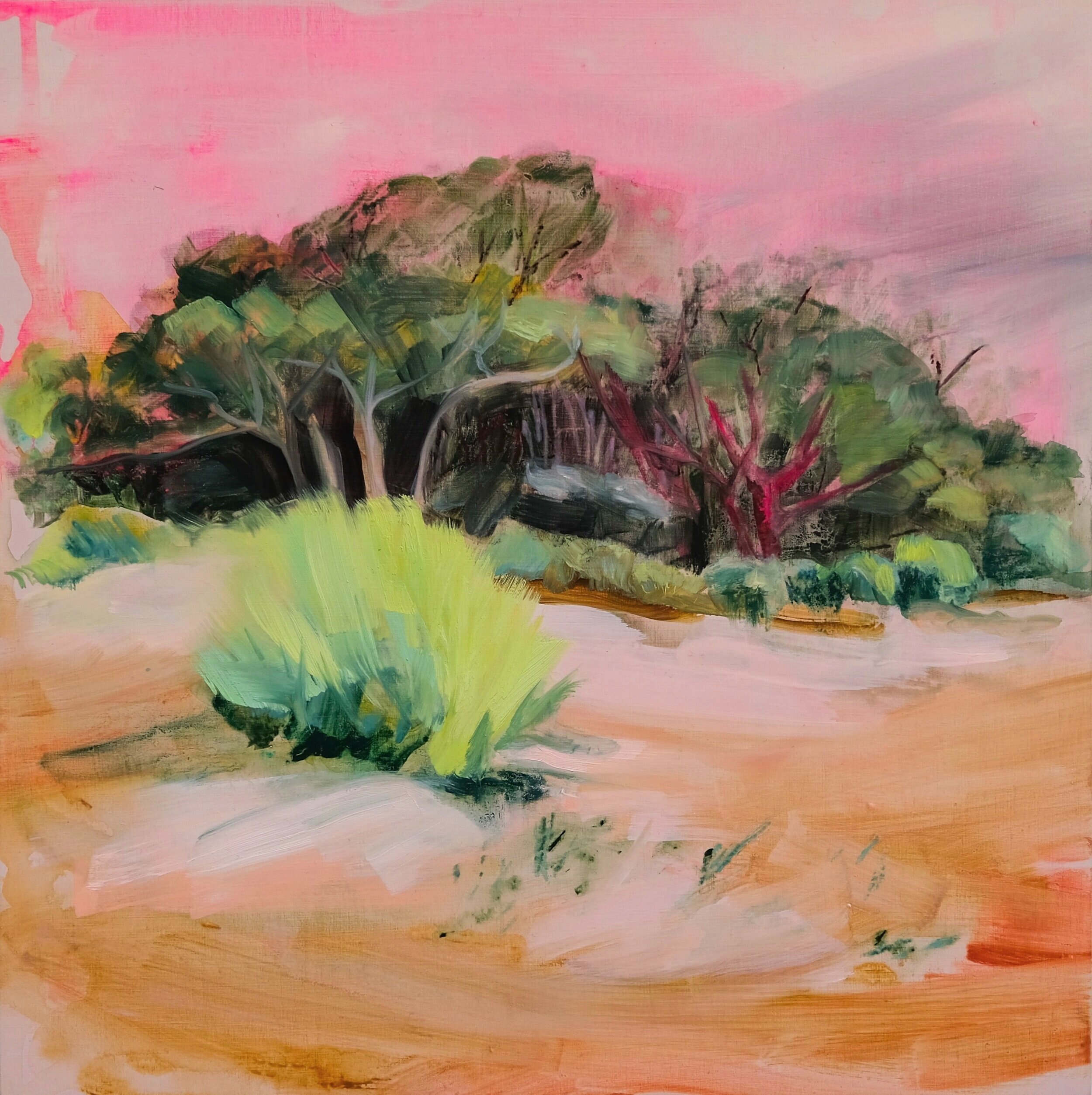 Volume (Royal National Park series) 2021 acrylic and oil on board 30 x 30cm