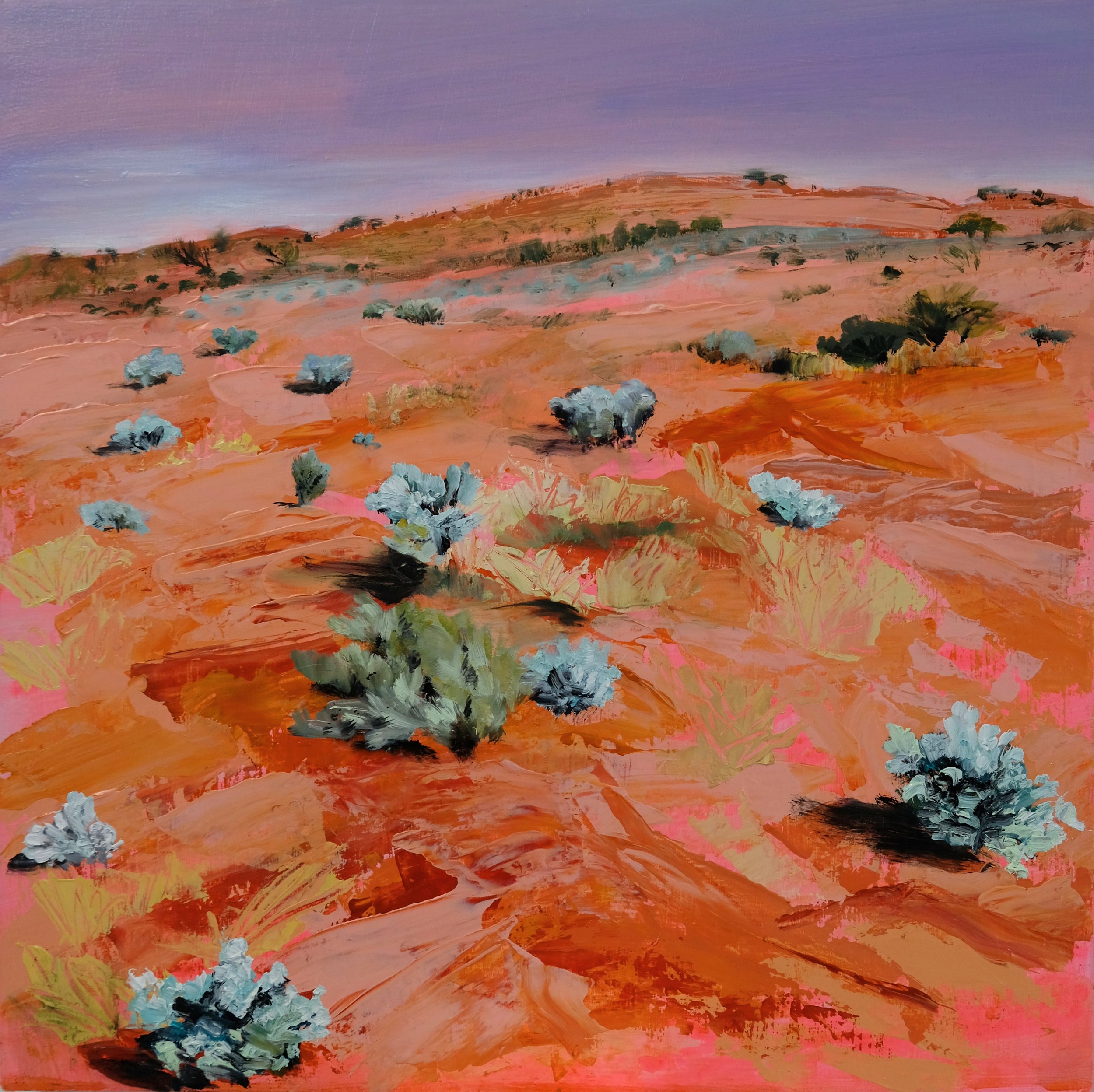 Field of Saltbush 2021 oil and acrylic on board 30 x 30cm