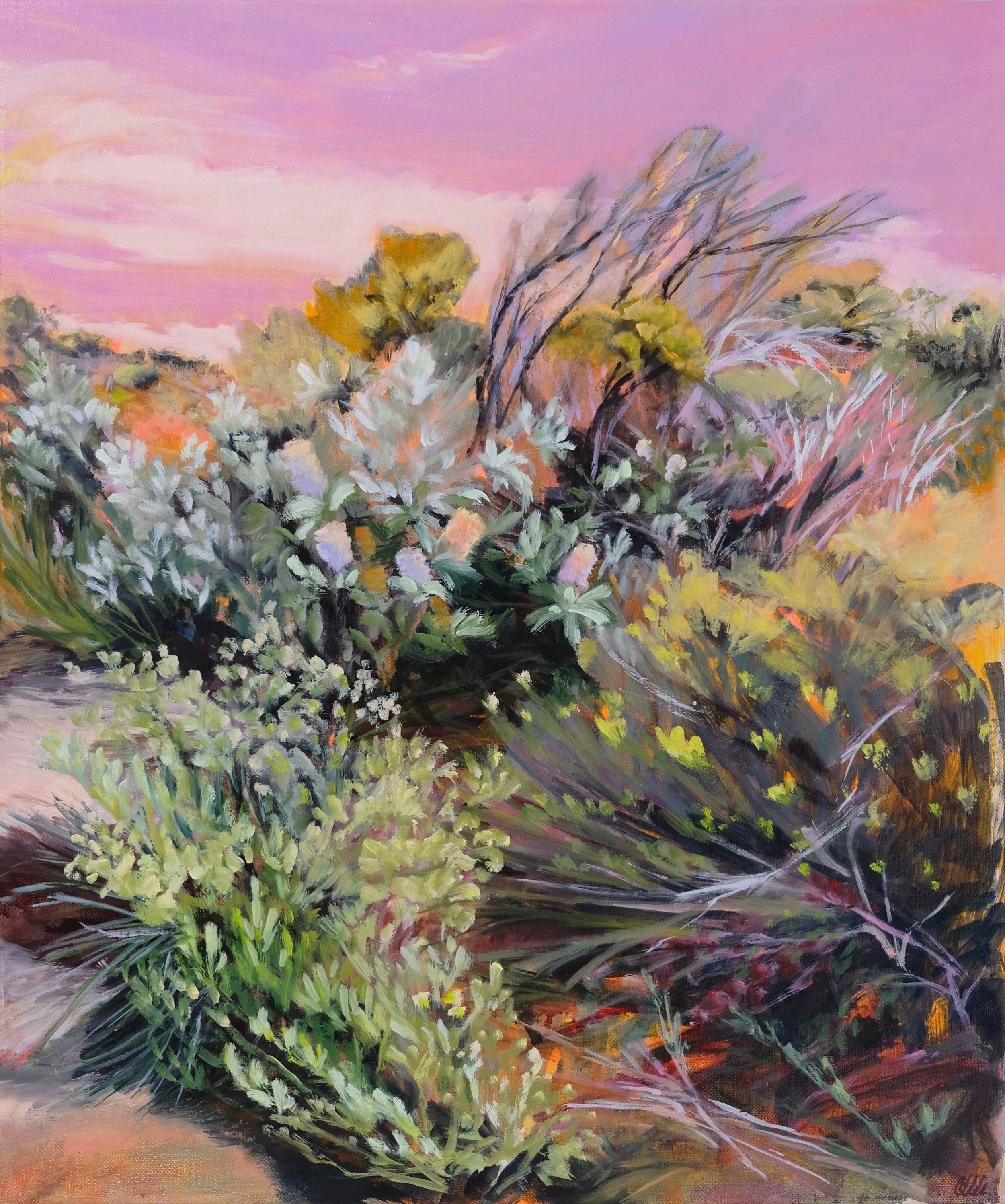 Banksia Dance 2022 oil on French canvas 63 x 53cm 