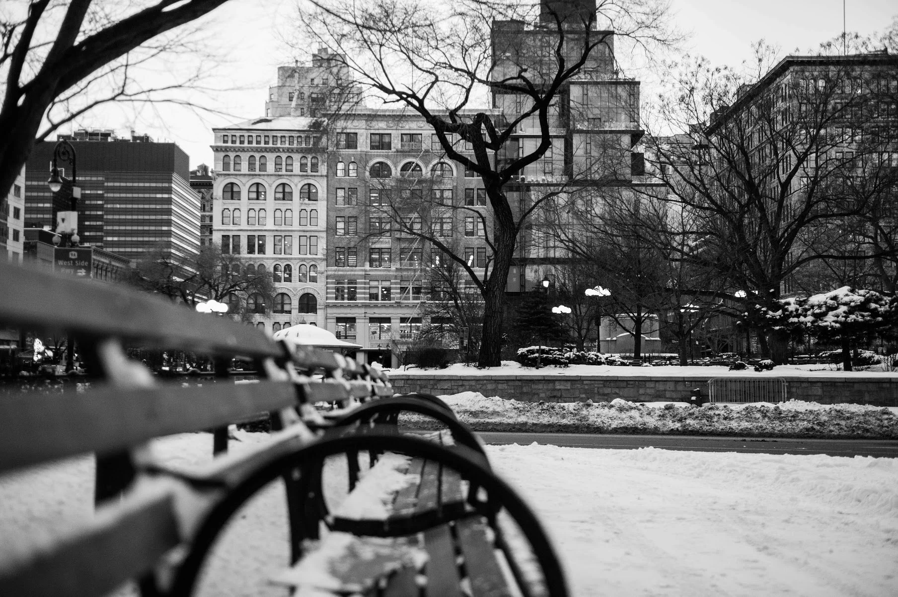 DSC_0813.jpg