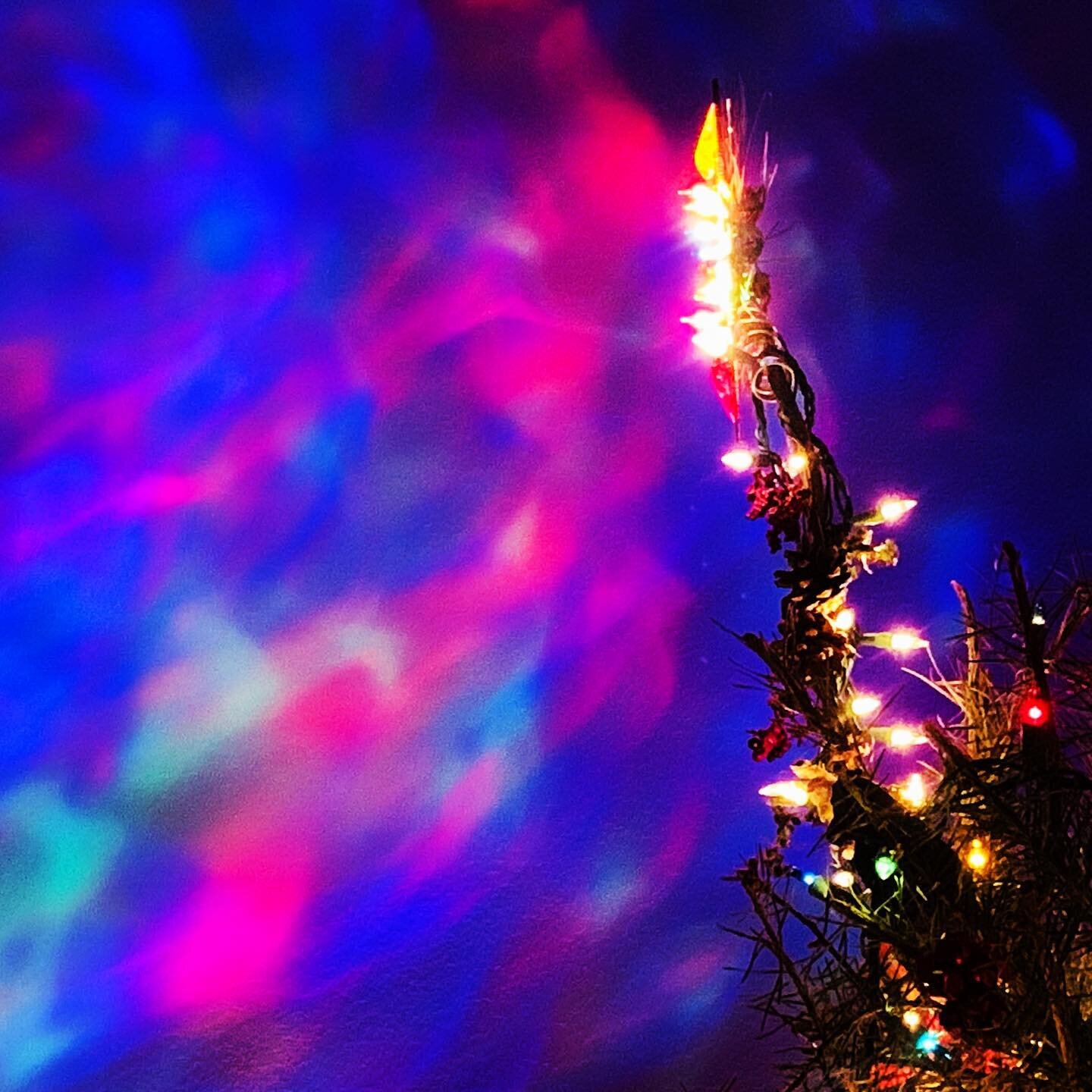 Happy New Year. (Really)
.
.
.
. 
#2020 #newyear #2021 #christmastree #christmasstar #colors