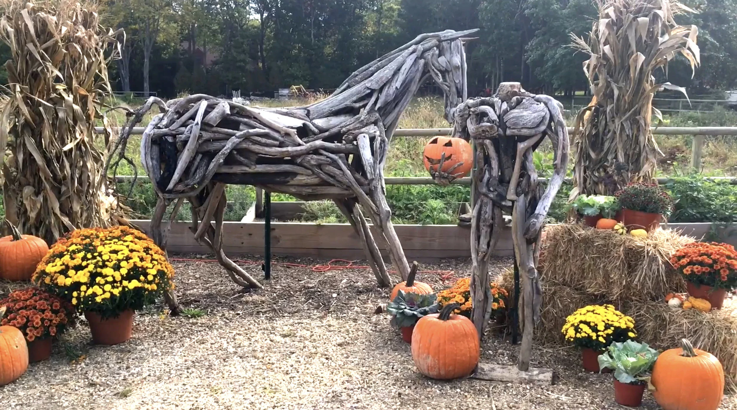 thmubnail shrimpin.jpg