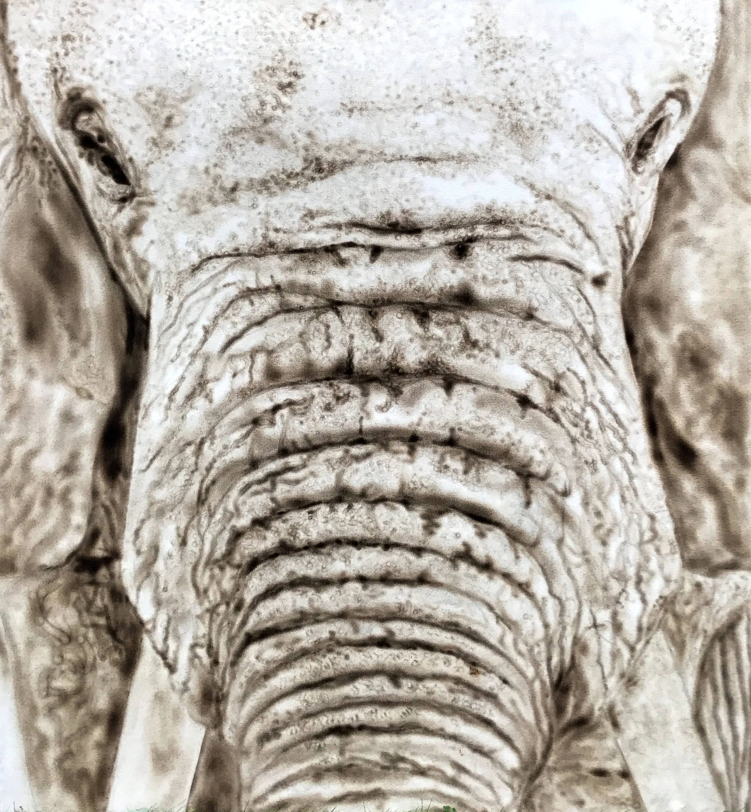  Elephant Fire Portrait - Fire on Canvas - sold 