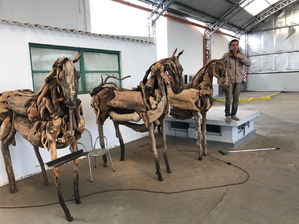 Argentine Campo Horses