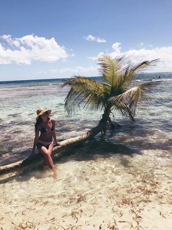 Five Friday Favorites Week 4