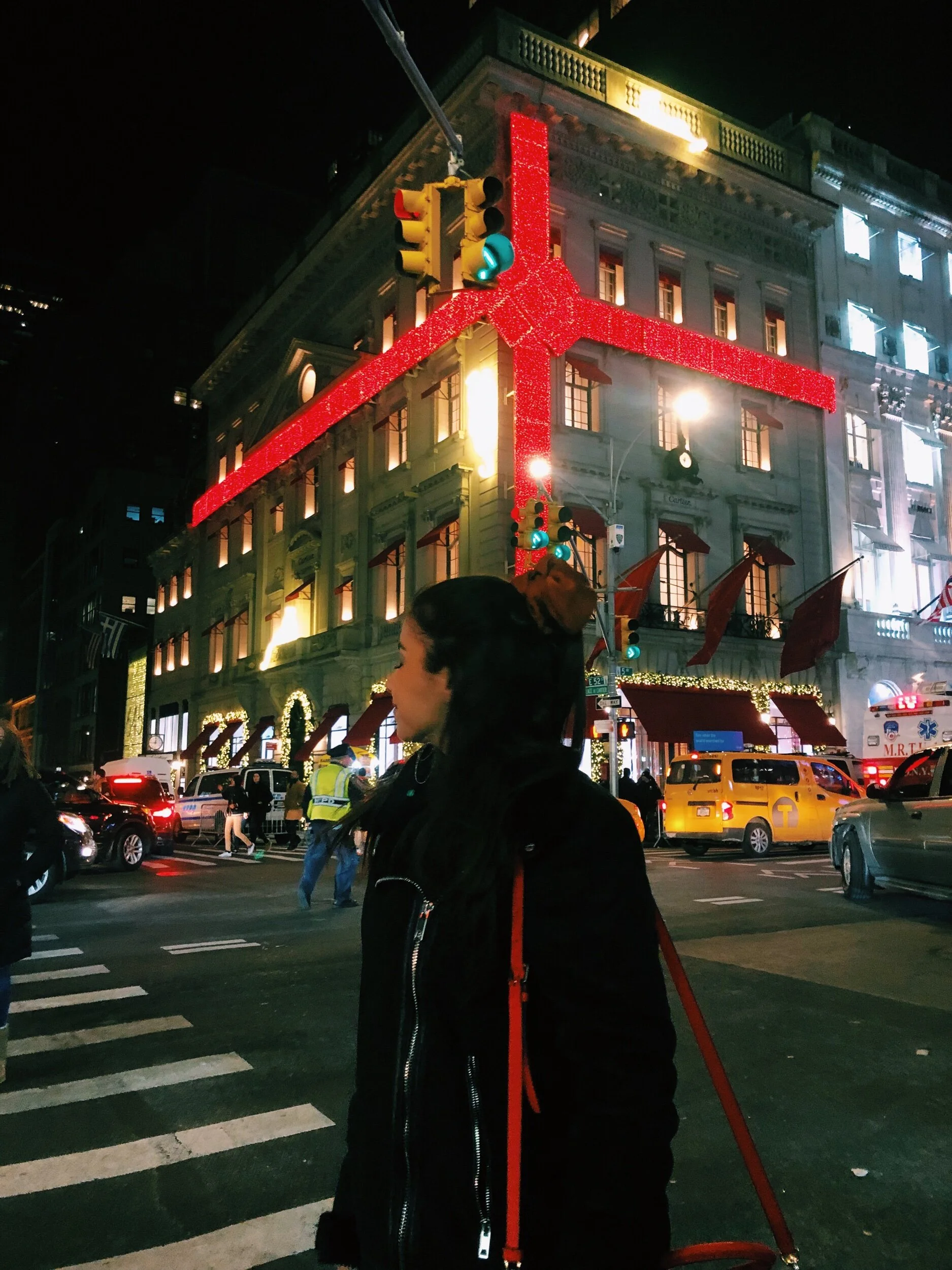 Best Christmas Window Displays of New York City