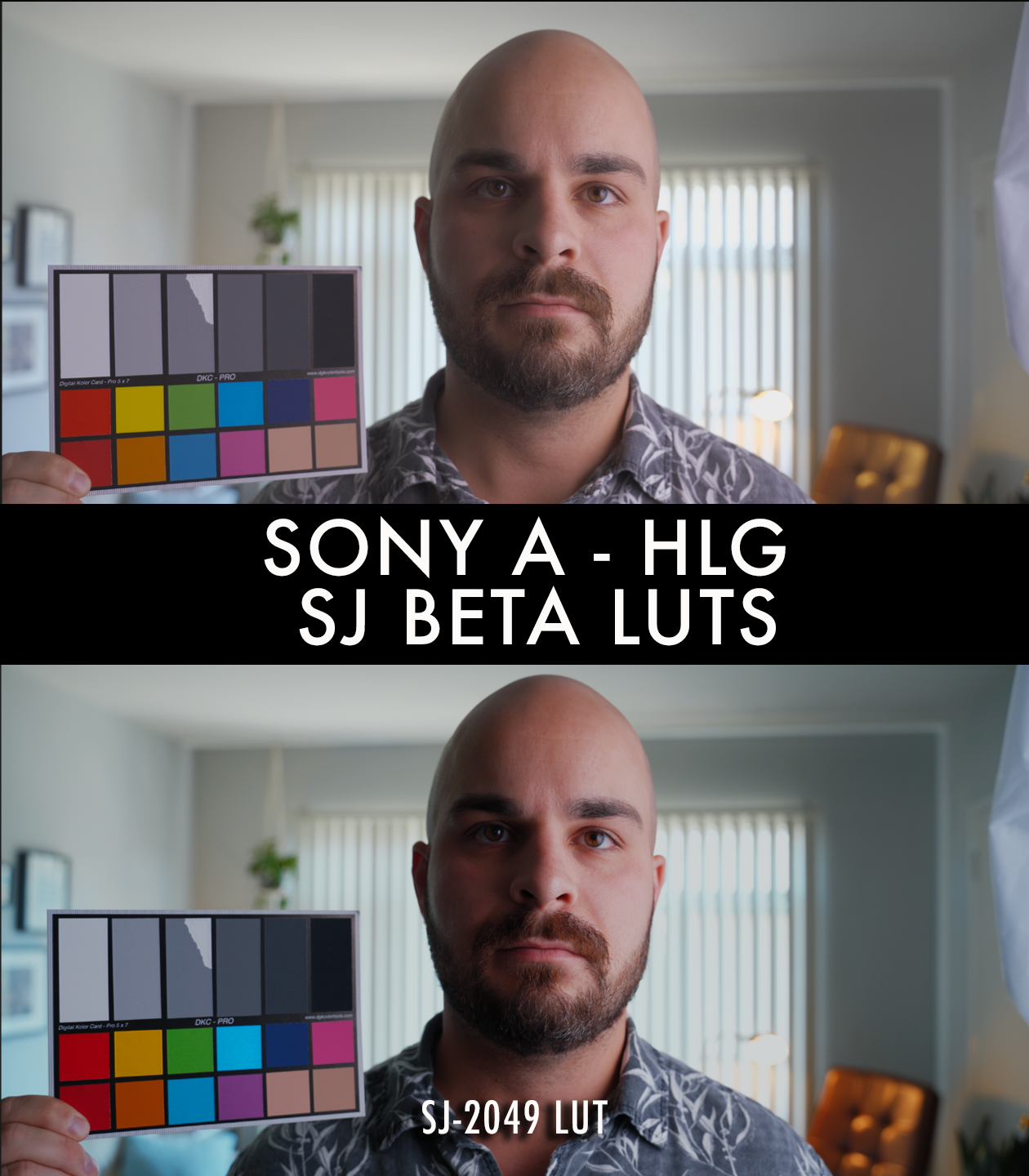 Beta Luts .png