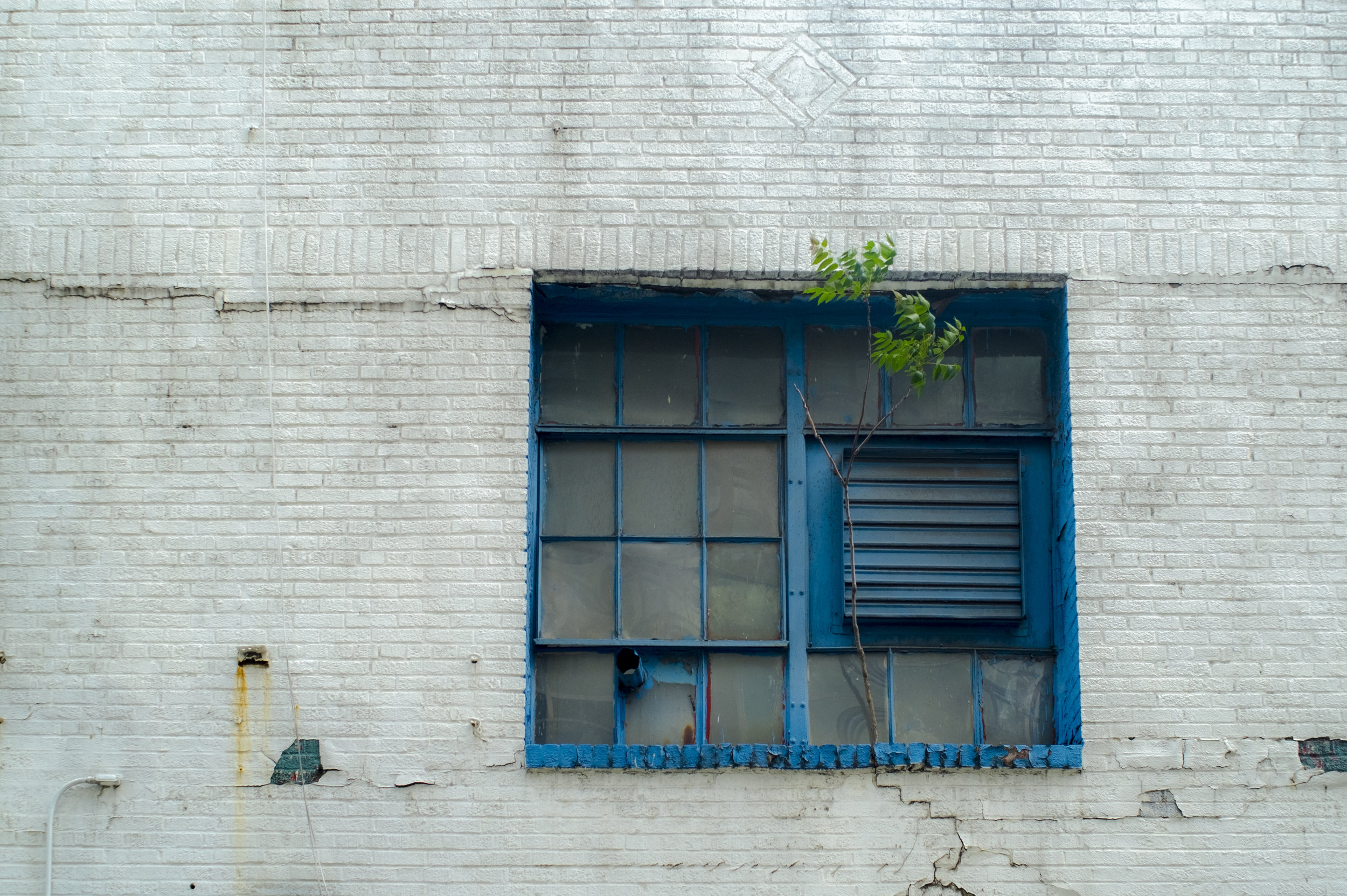BLUE.jpeg