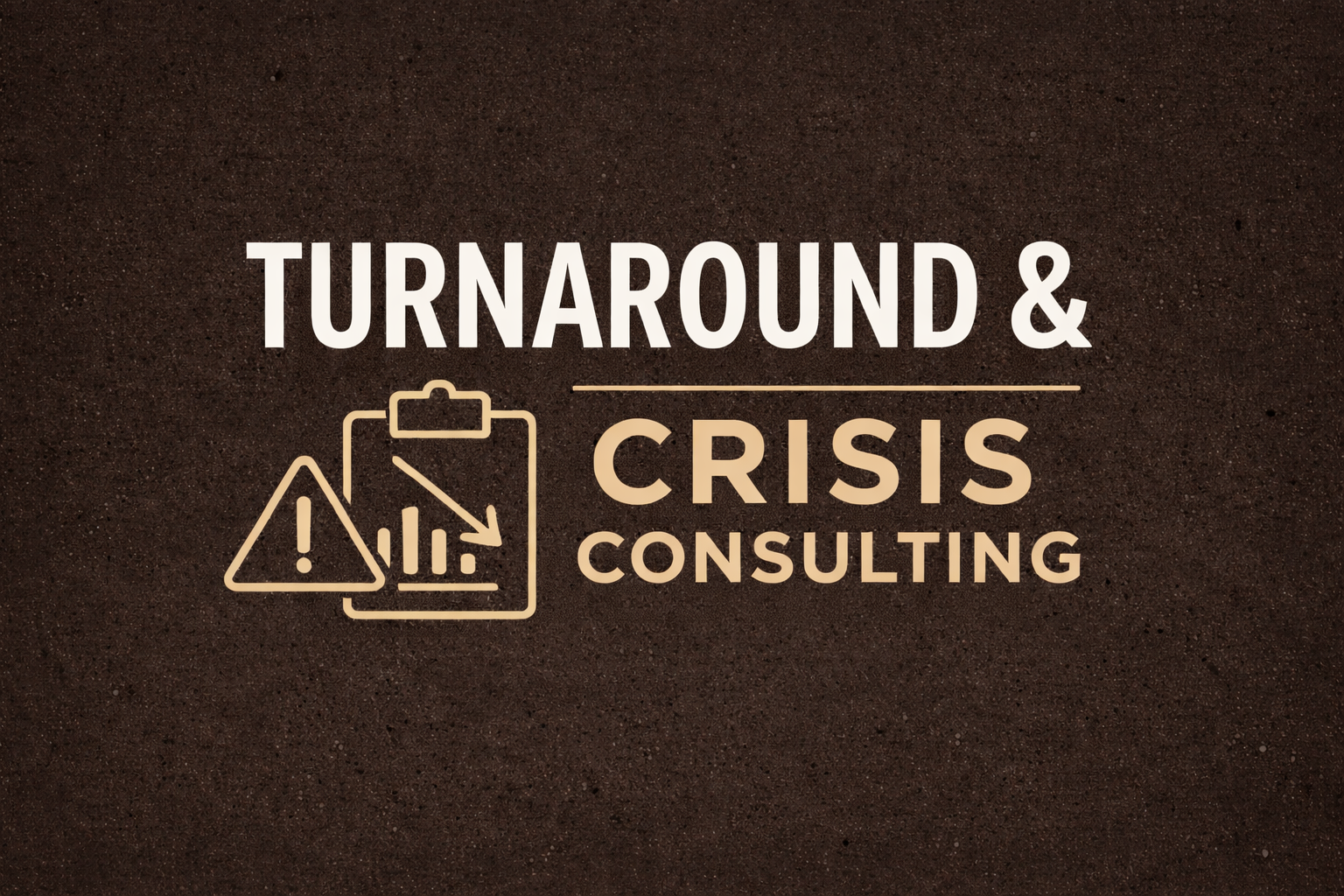 Turnaround & Crisis Consulting