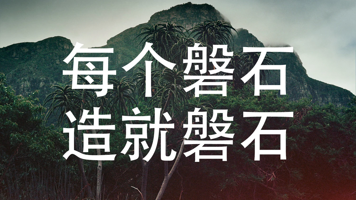 描述全球使命的丛林摄影