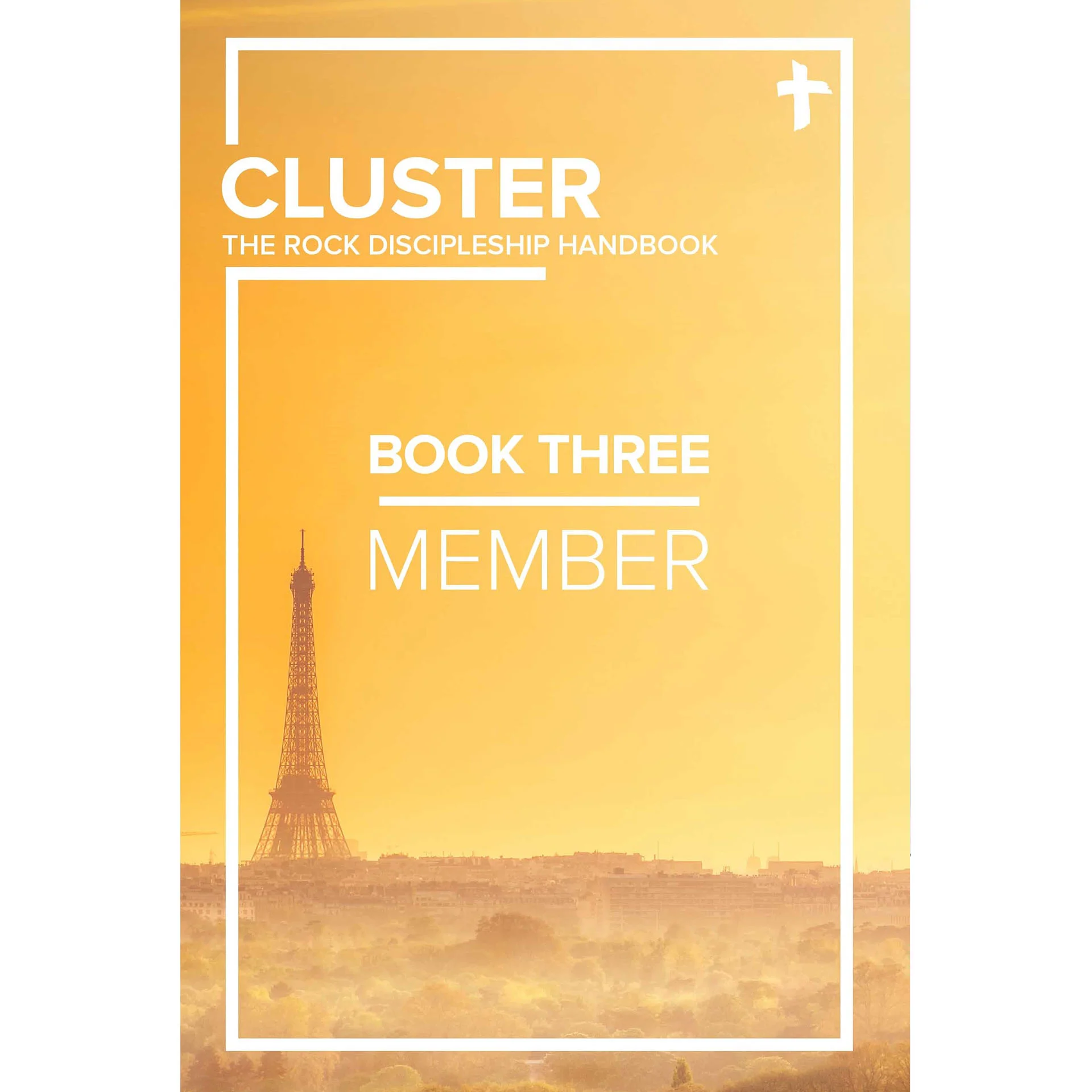 CLUSTER - Book Three: Member
