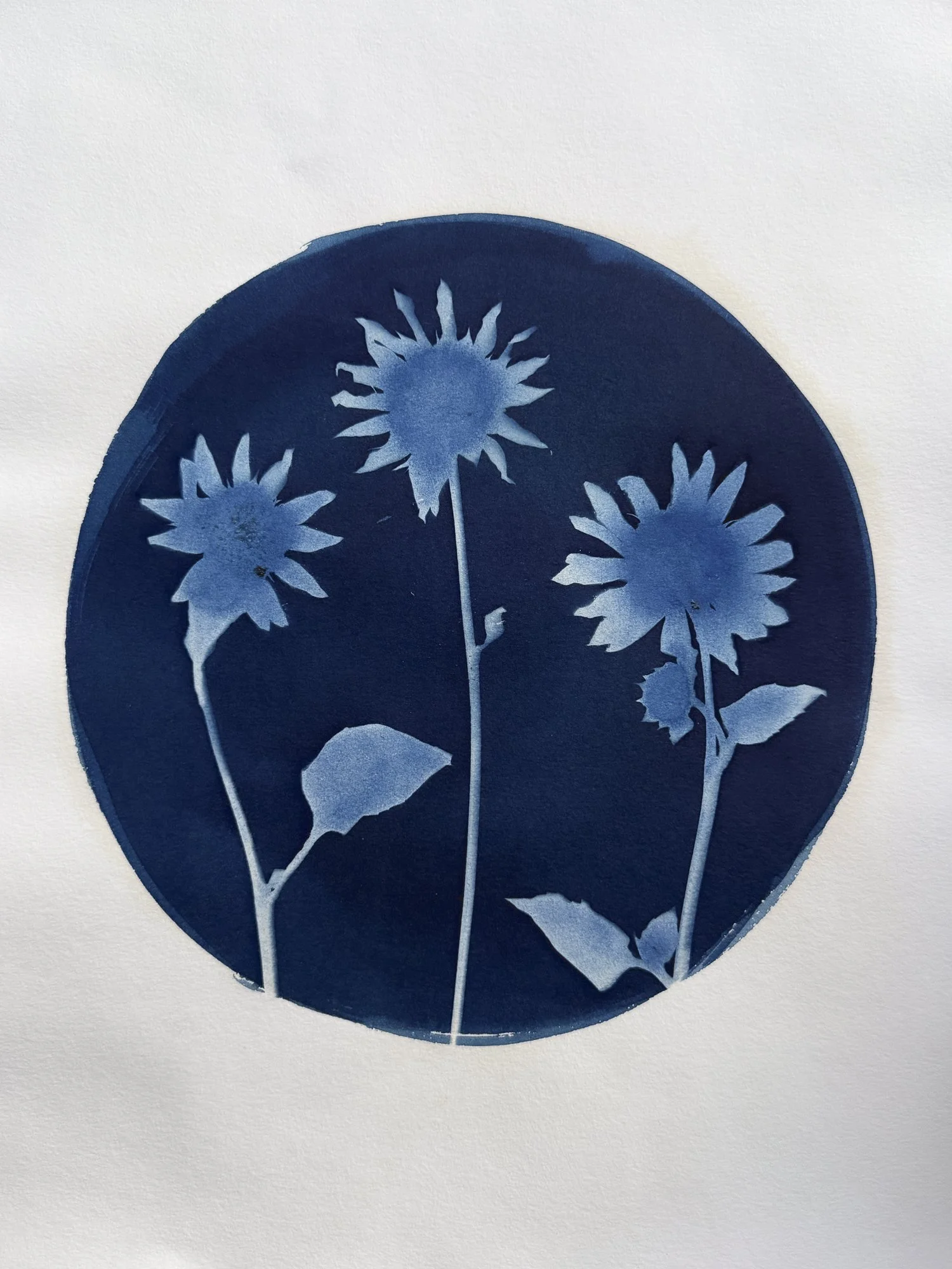 Sunflowers-ORIGINAL