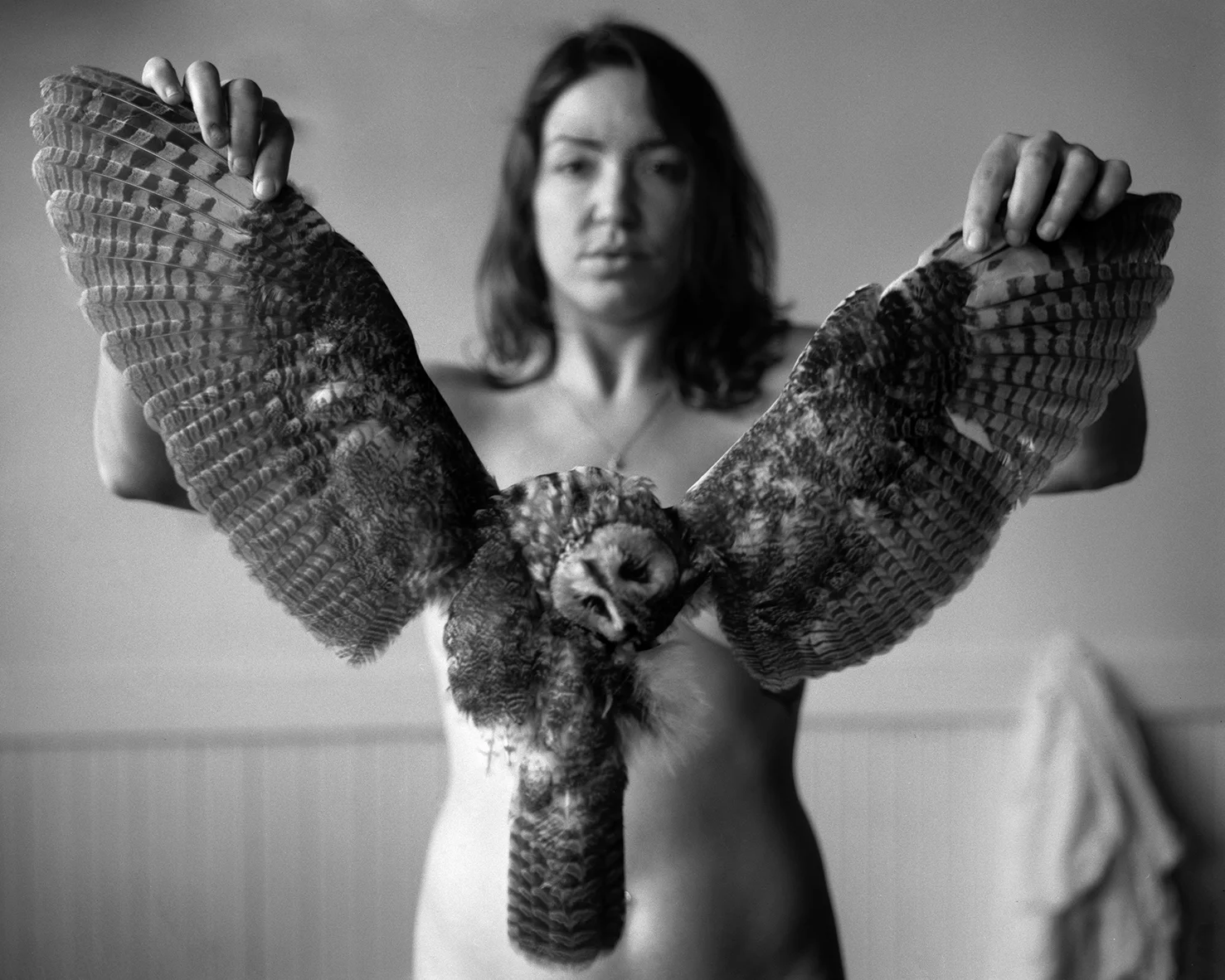 WEBTiandra-owltorso.jpg