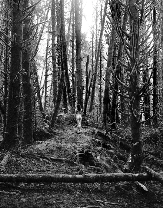 WEBtiandraForestBack.jpg
