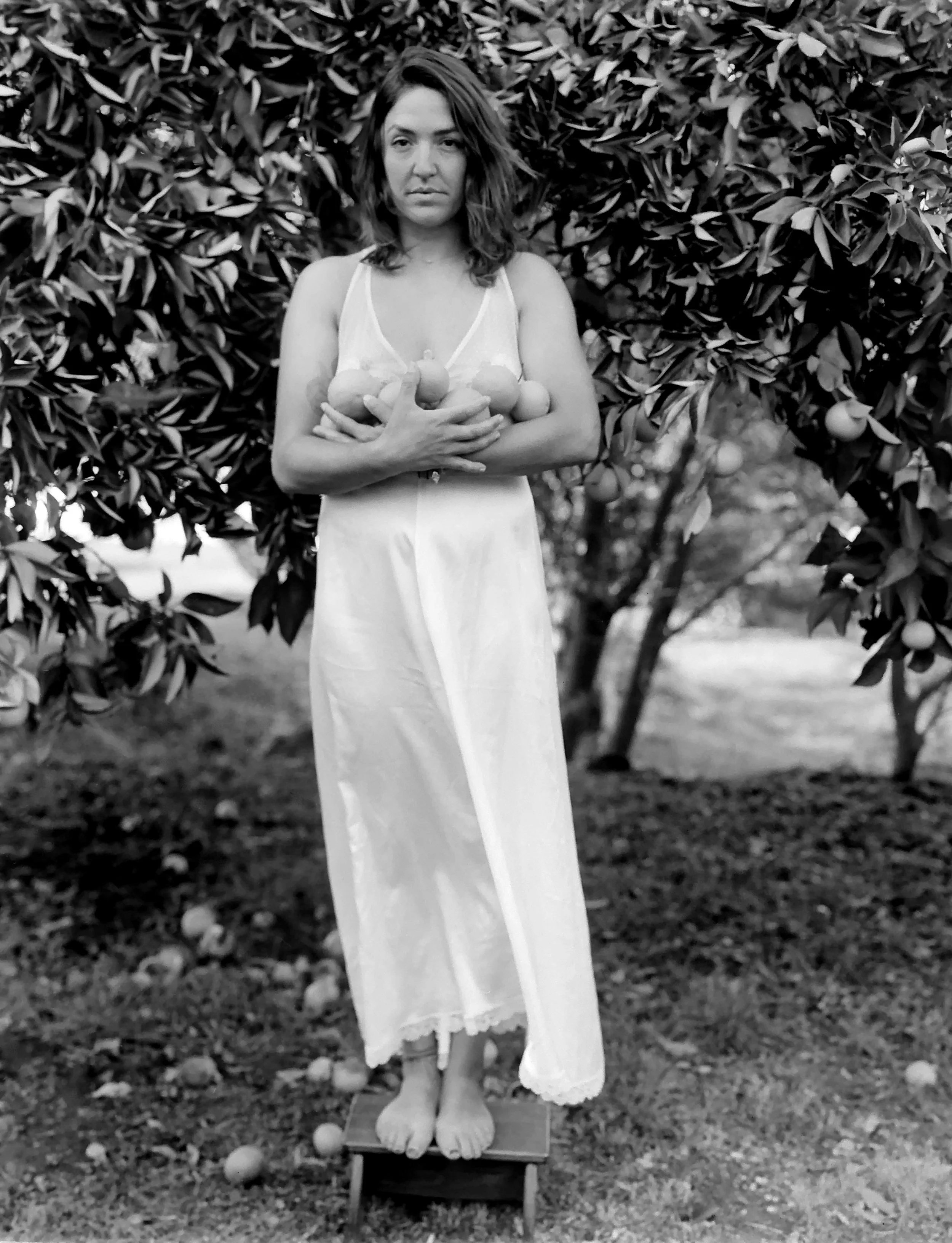 WEBTiandra_oranges2.jpg