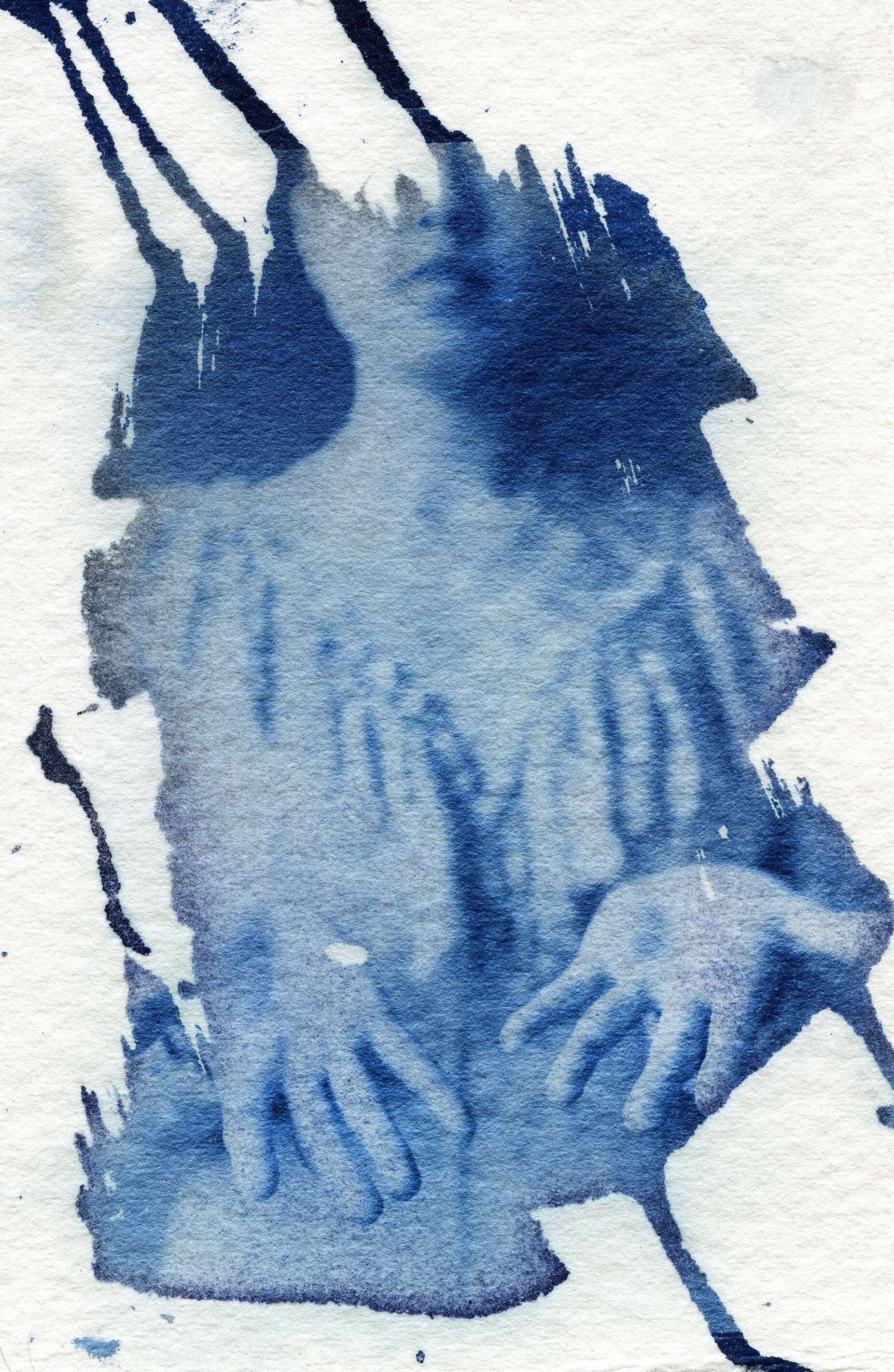  Cyanotype on watercolor paper    2018    4” x 5” 