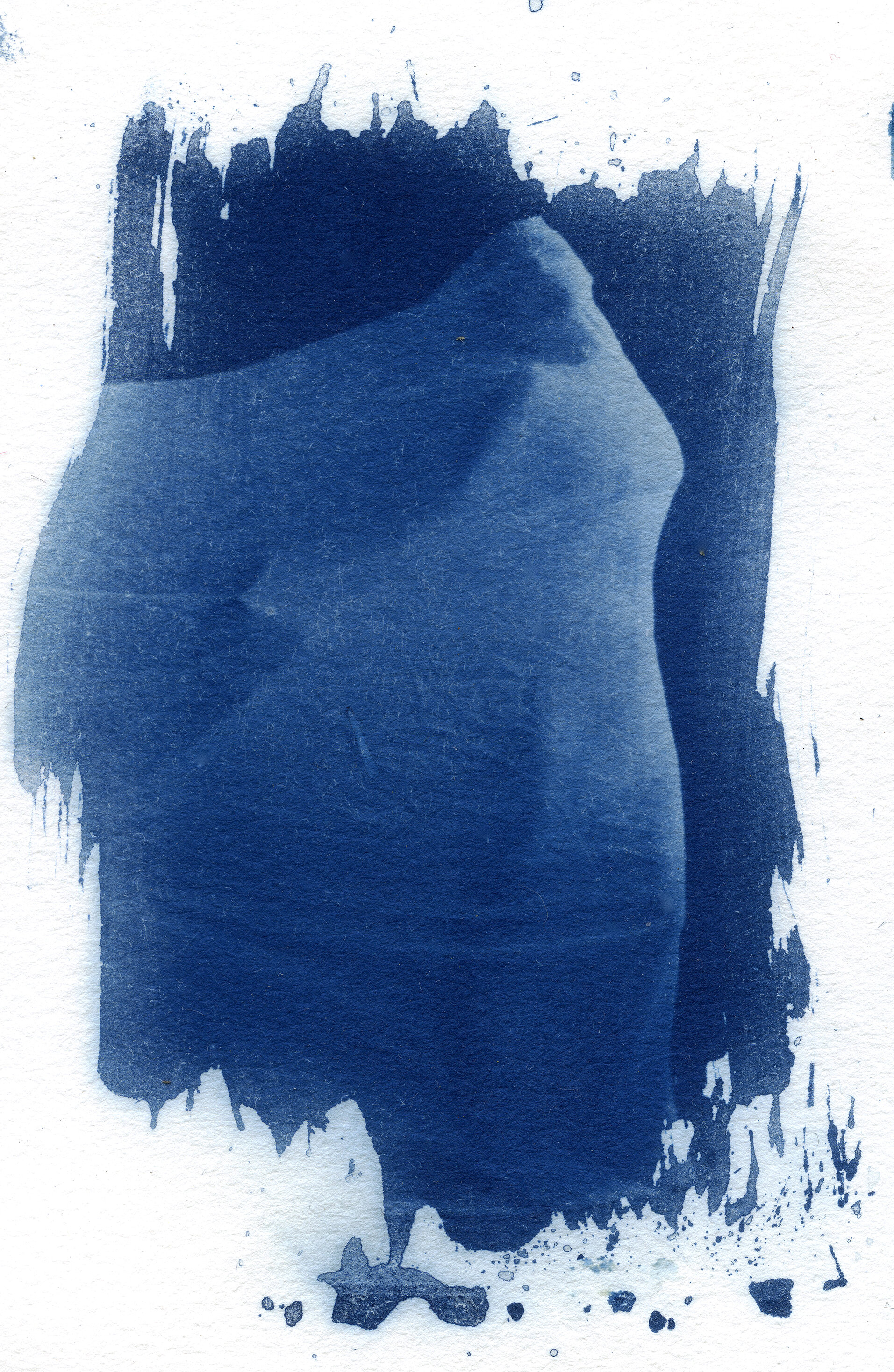  Cyanotype on watercolor paper    2018    4” x 5” 