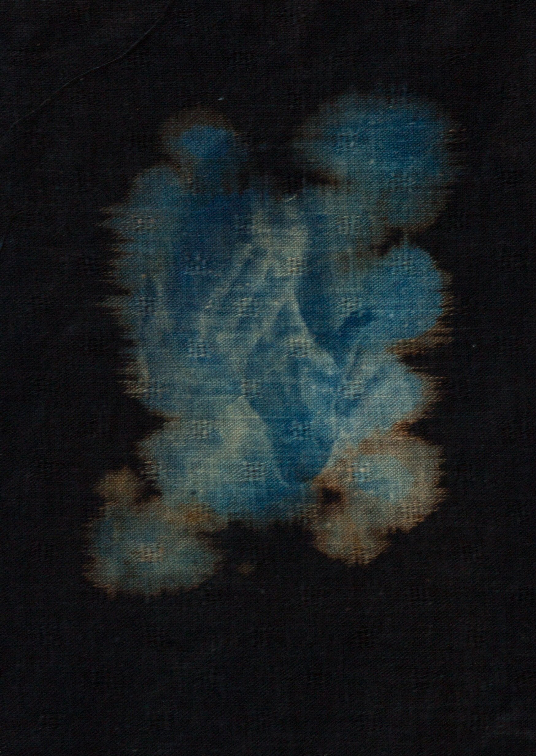  4x5 film contact printed cyanotype on bleached, black linen 