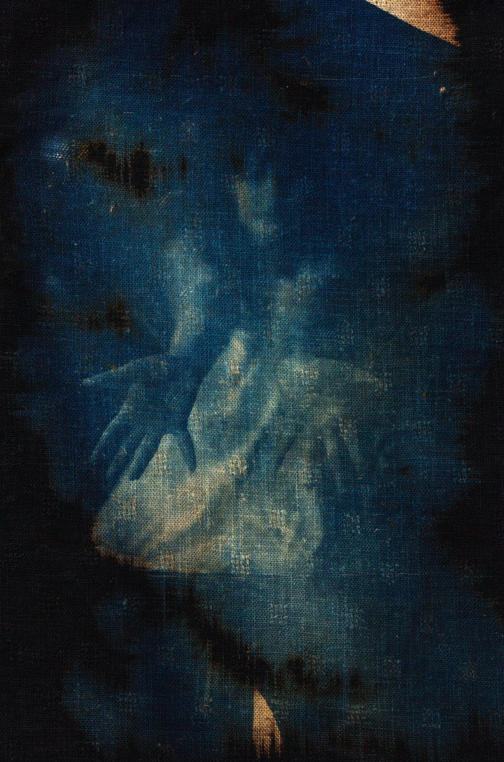  4x5 film contact printed cyanotype on bleached, black linen 