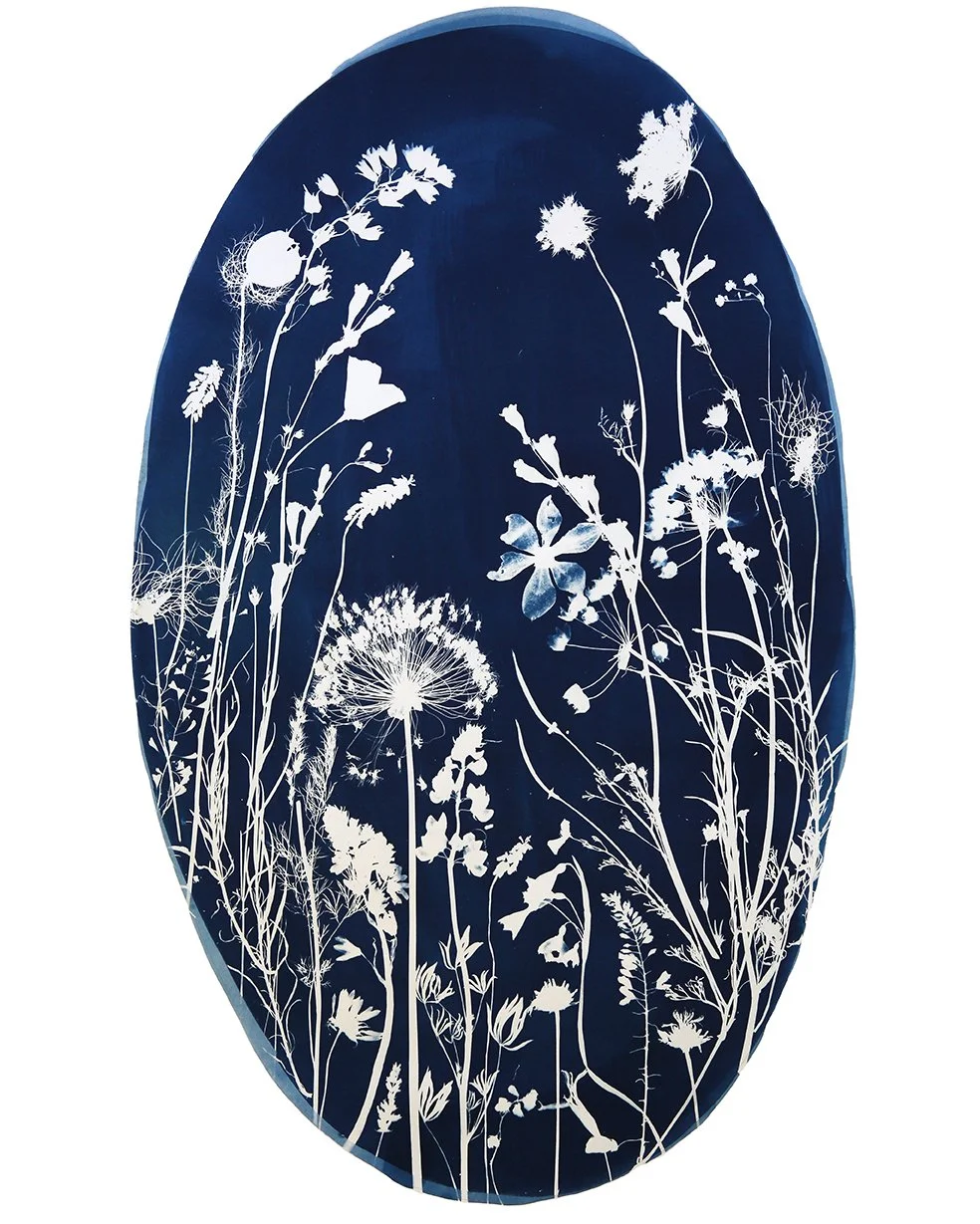 A dark blue oval-shaped art piece featuring white silhouettes of various wildflowers, grasses, and plants in a botanical pattern. Cyanotype print.