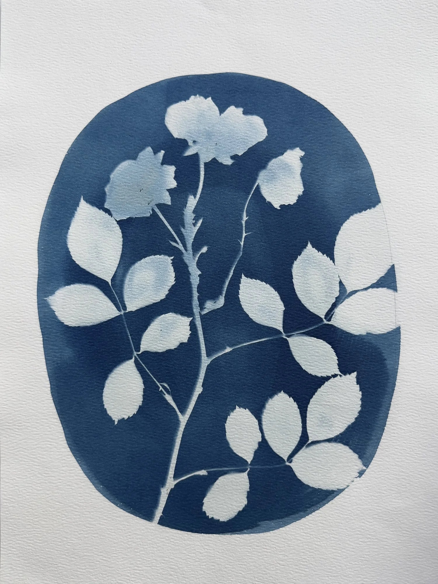 Roses-ORIGINAL