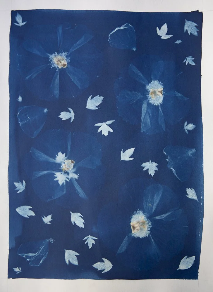 Original-Matilija-Tablecloth.jpg
