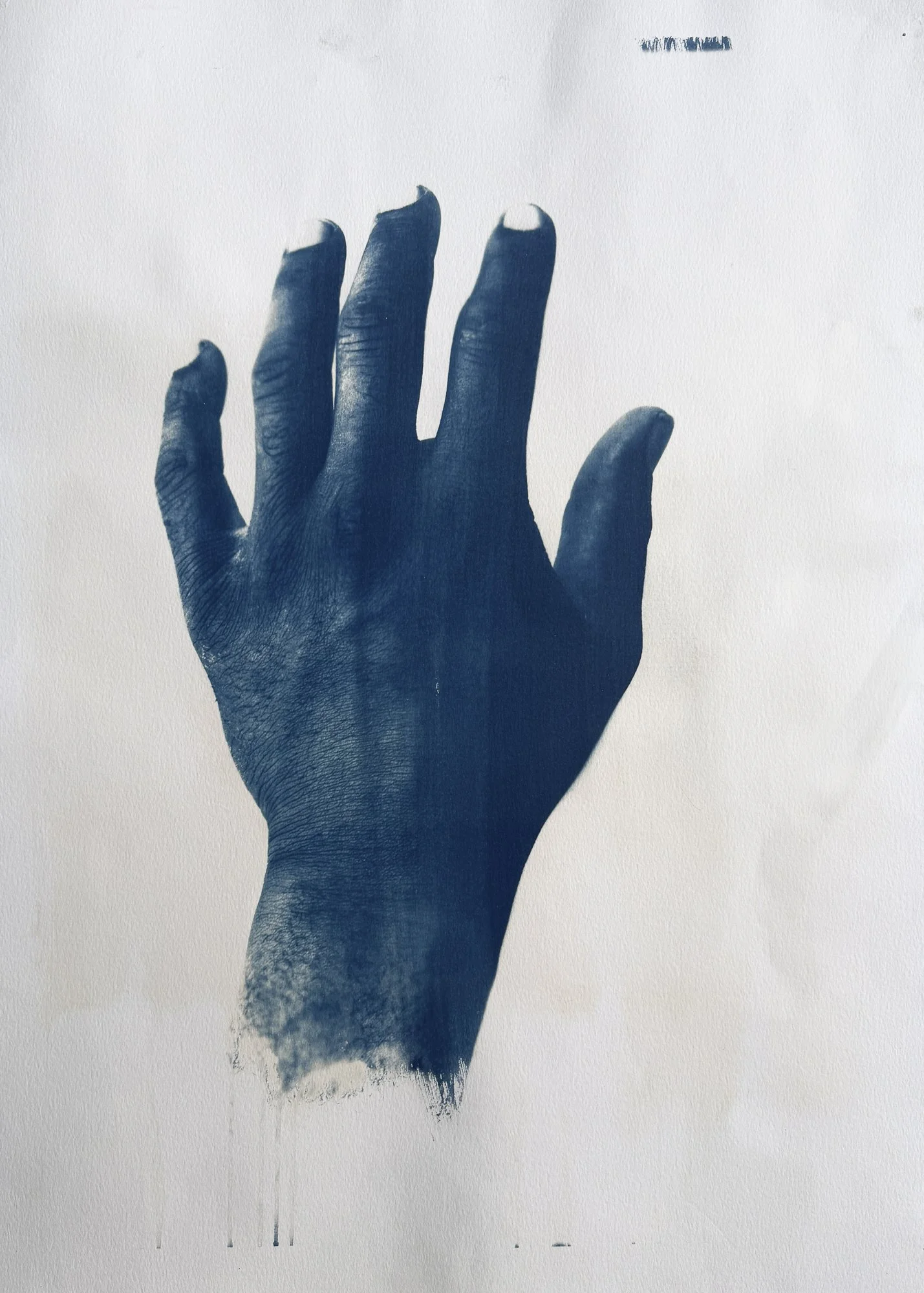 Hand Print 1