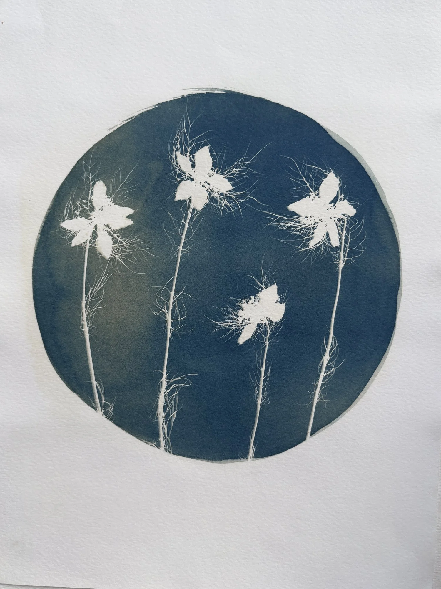 original-11x15botanical-12.jpg