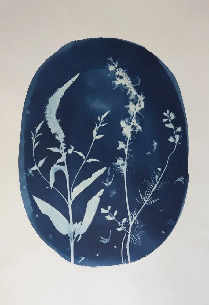 Veronica Larkspur (Original)