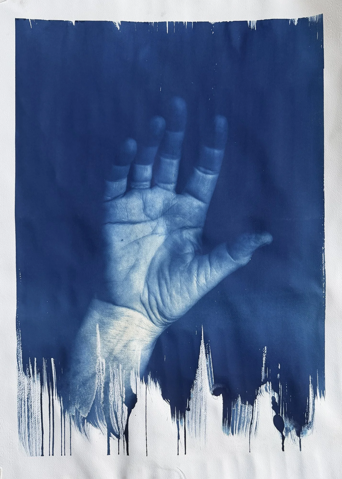 Hand Print 9