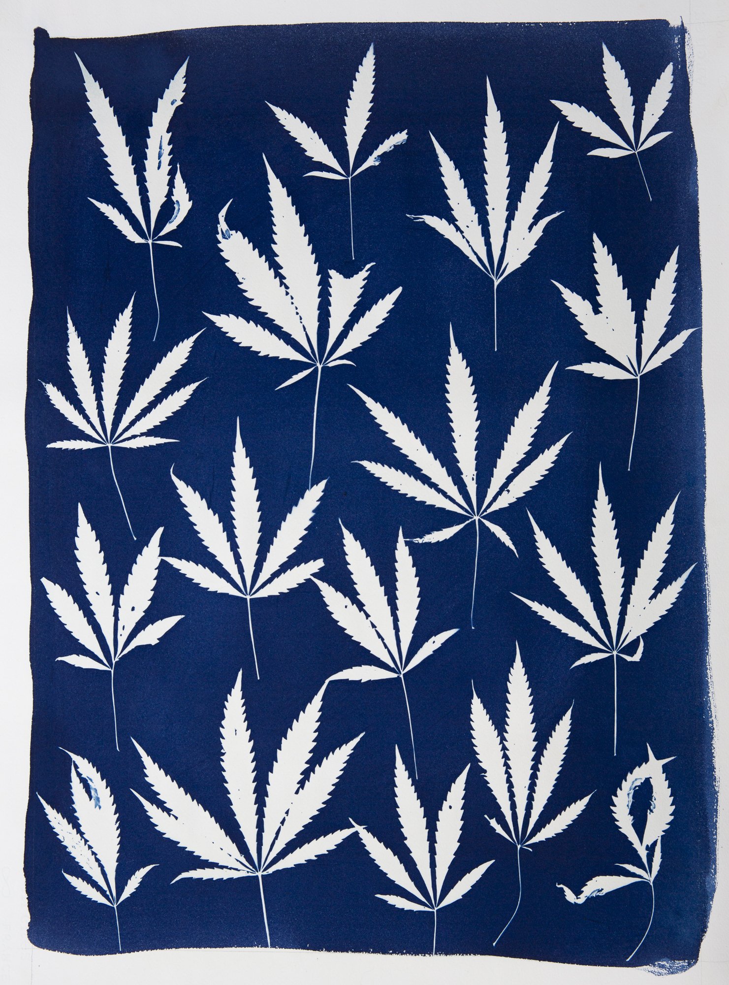 WEB-MaryJane.jpg
