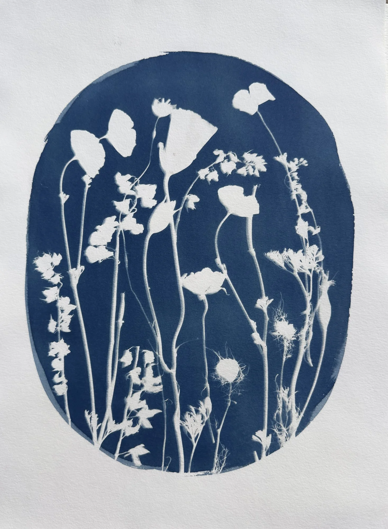 Poppies & Penstemon-ORIGINAL