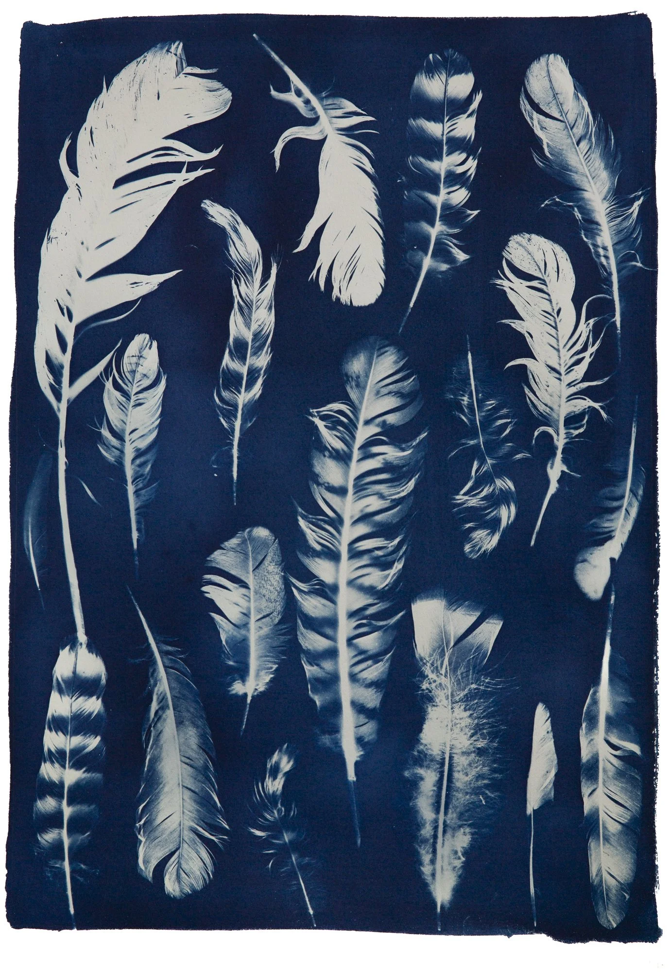 Feathers