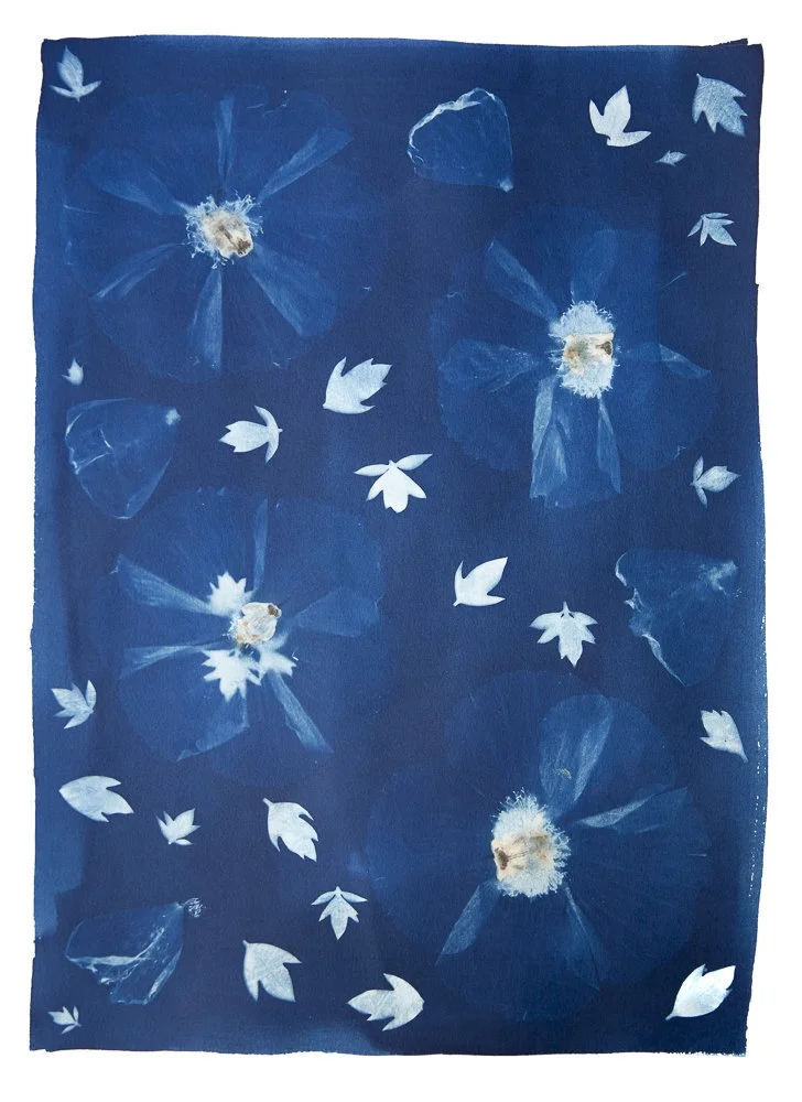 WEB-Matilija-Tablecloth.jpg