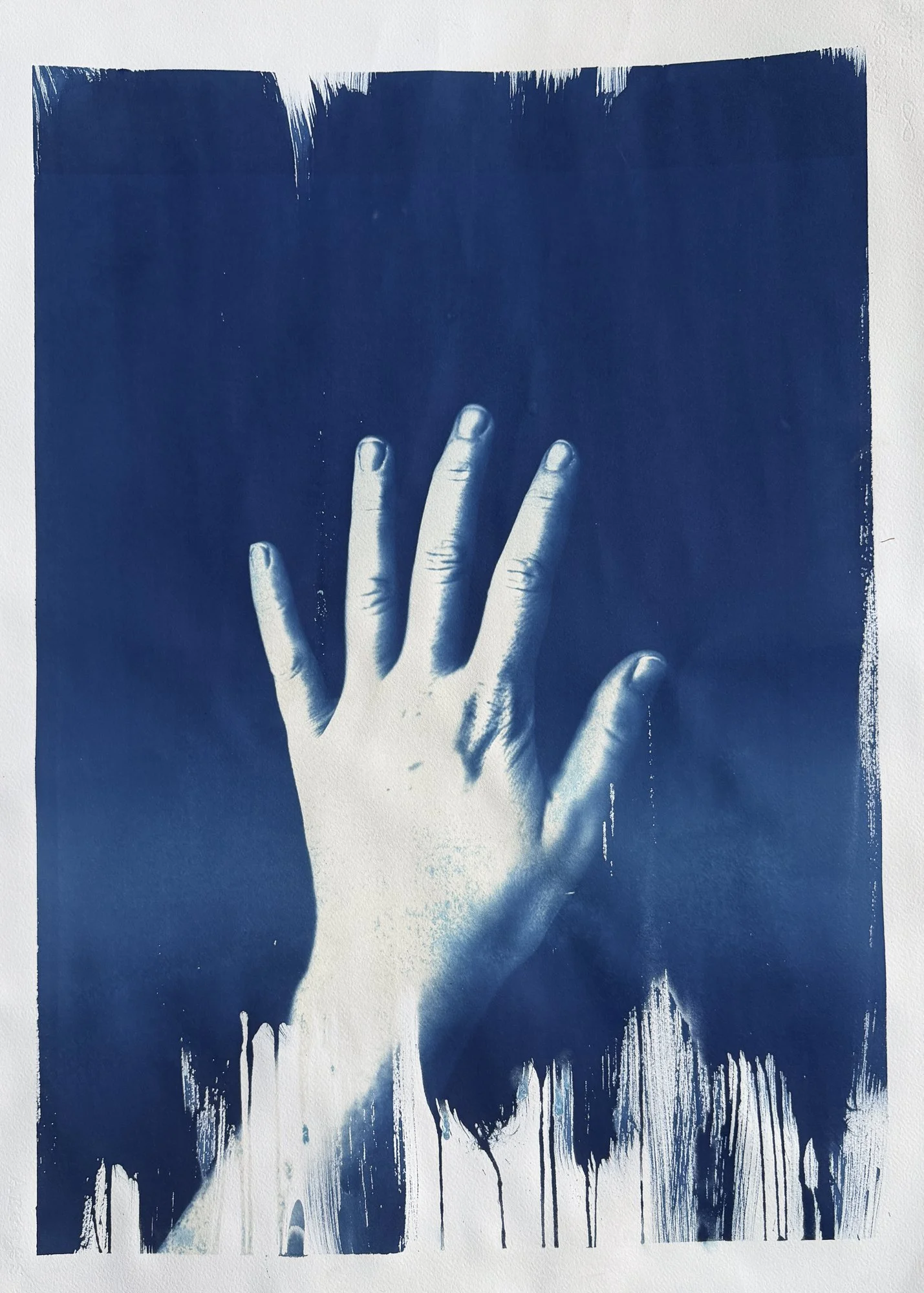 Hand Print 12