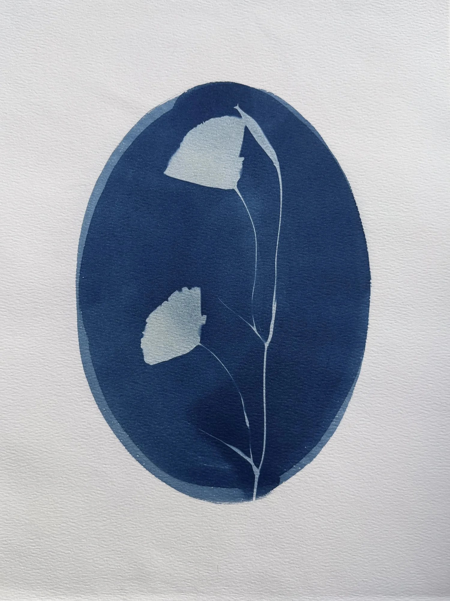 original-11x15botanical-11.jpg