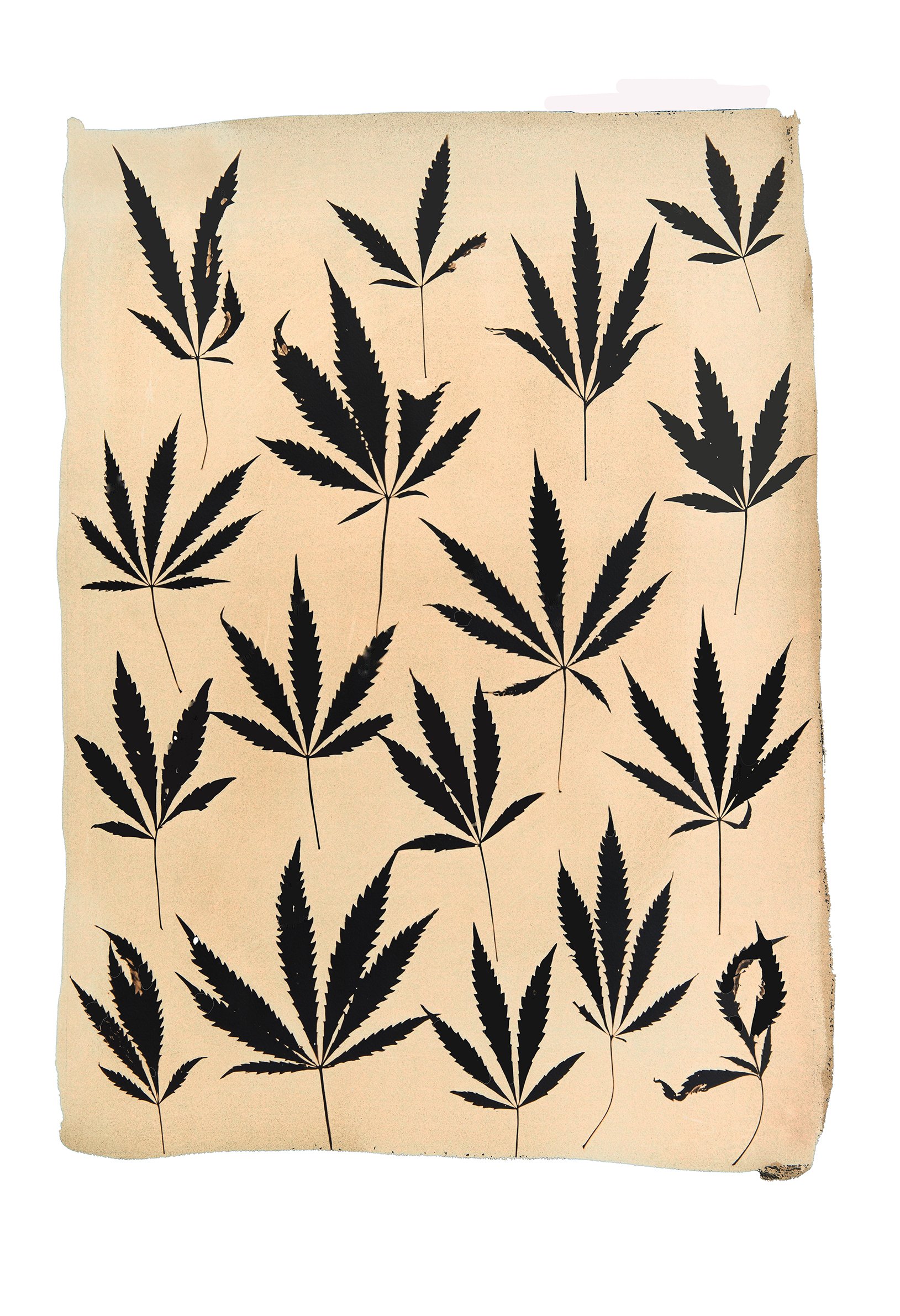 WEB-MaryJane(Inverse).jpg