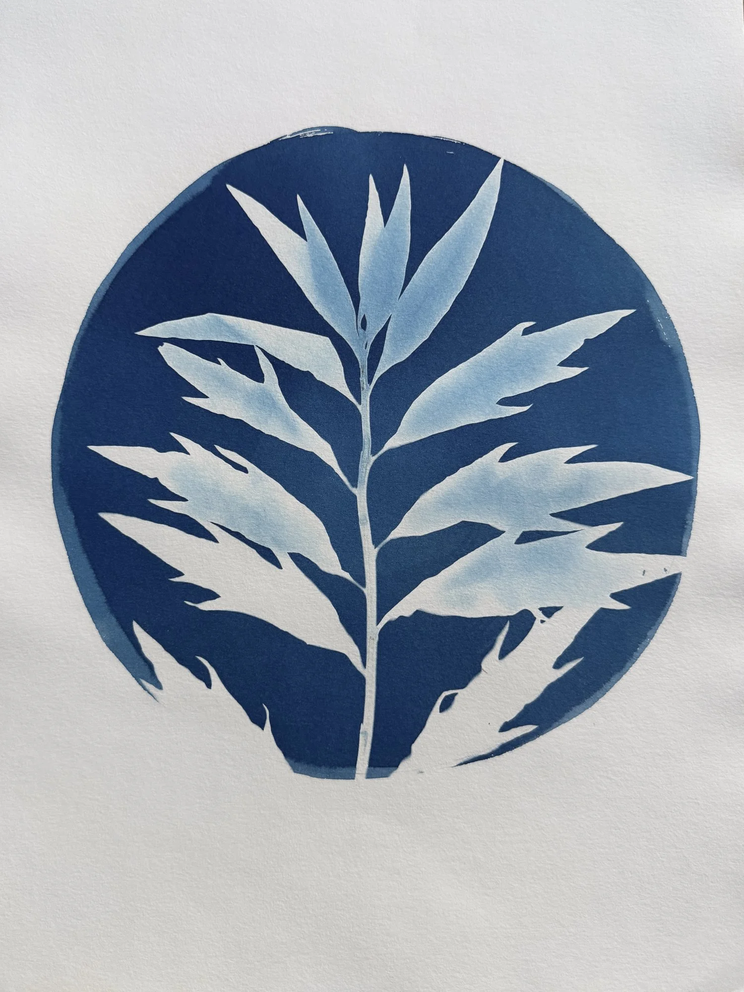 Mugwort-ORIGINAL