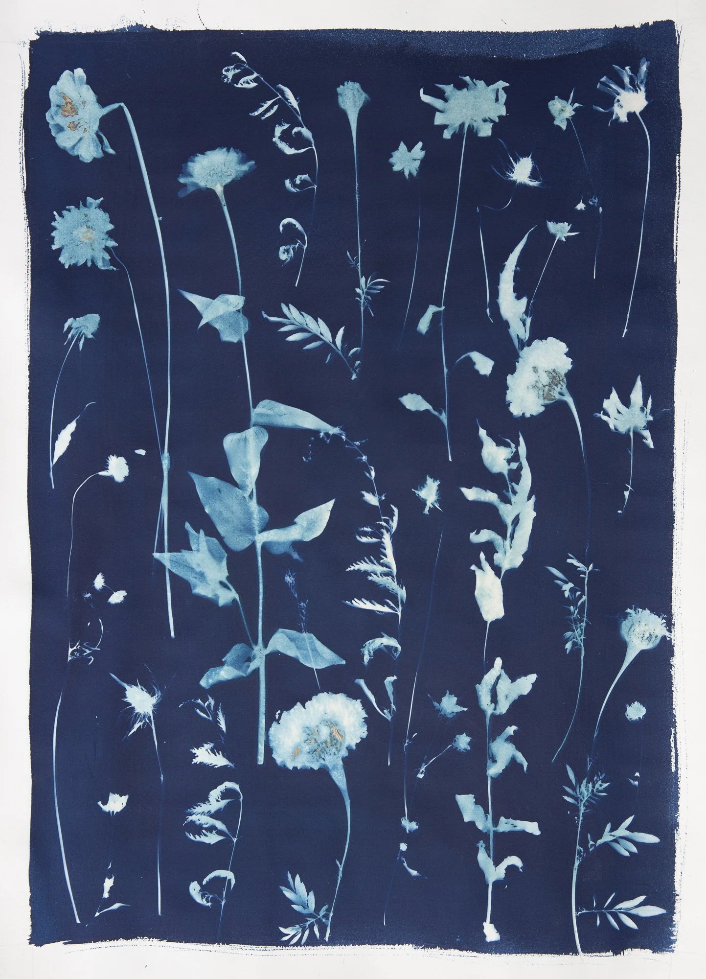 Original-Abundance.jpg
