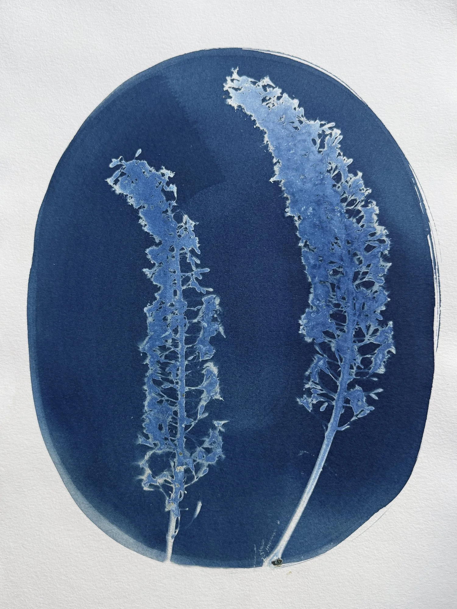 original-11x15botanical-2.jpg