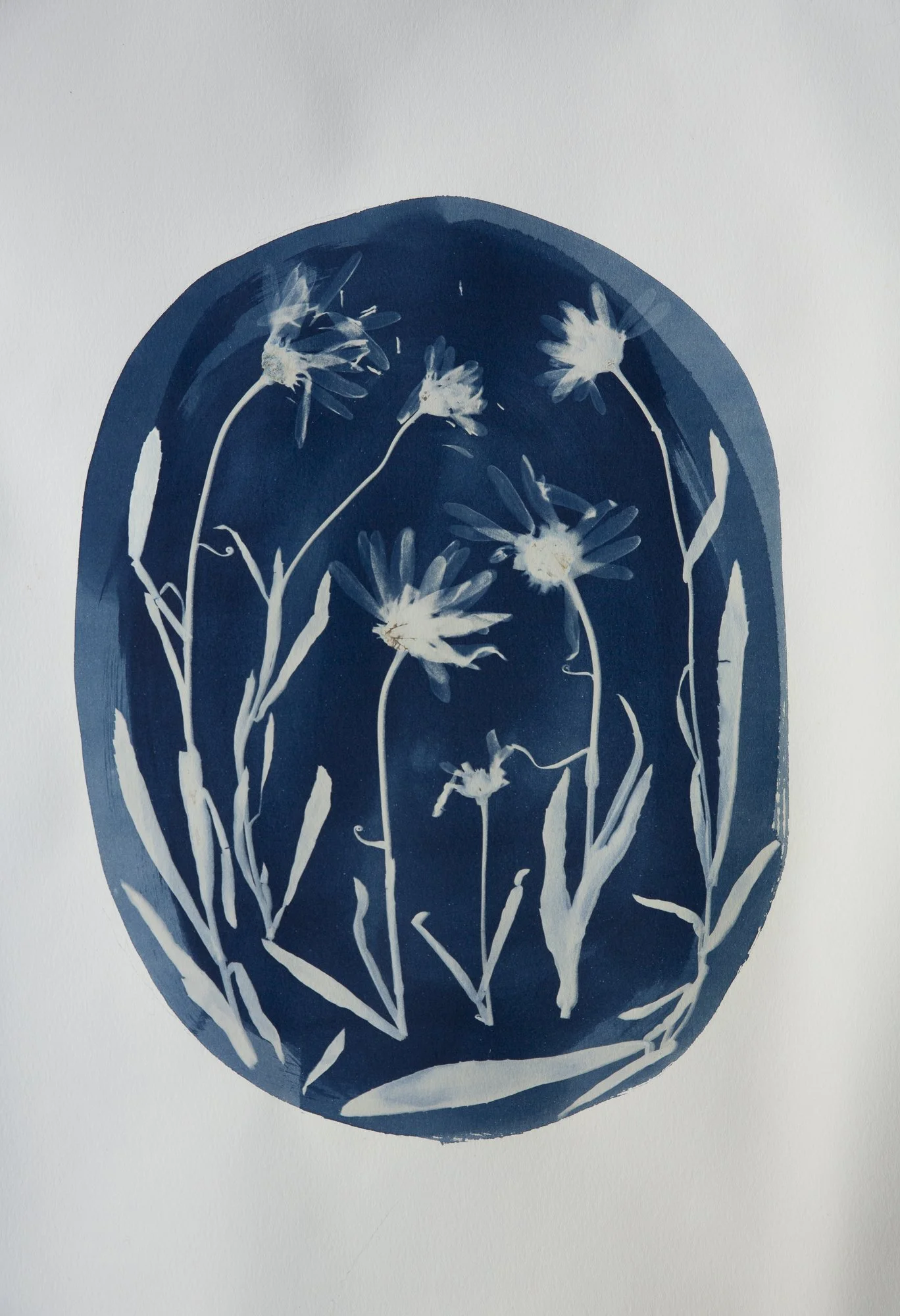 ORiginal-CrazyDaisies.jpg