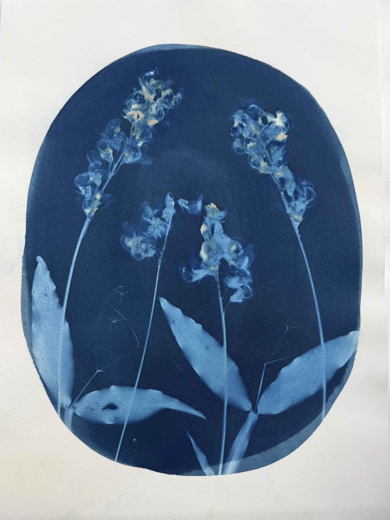 original-11x15botanical-18.jpg