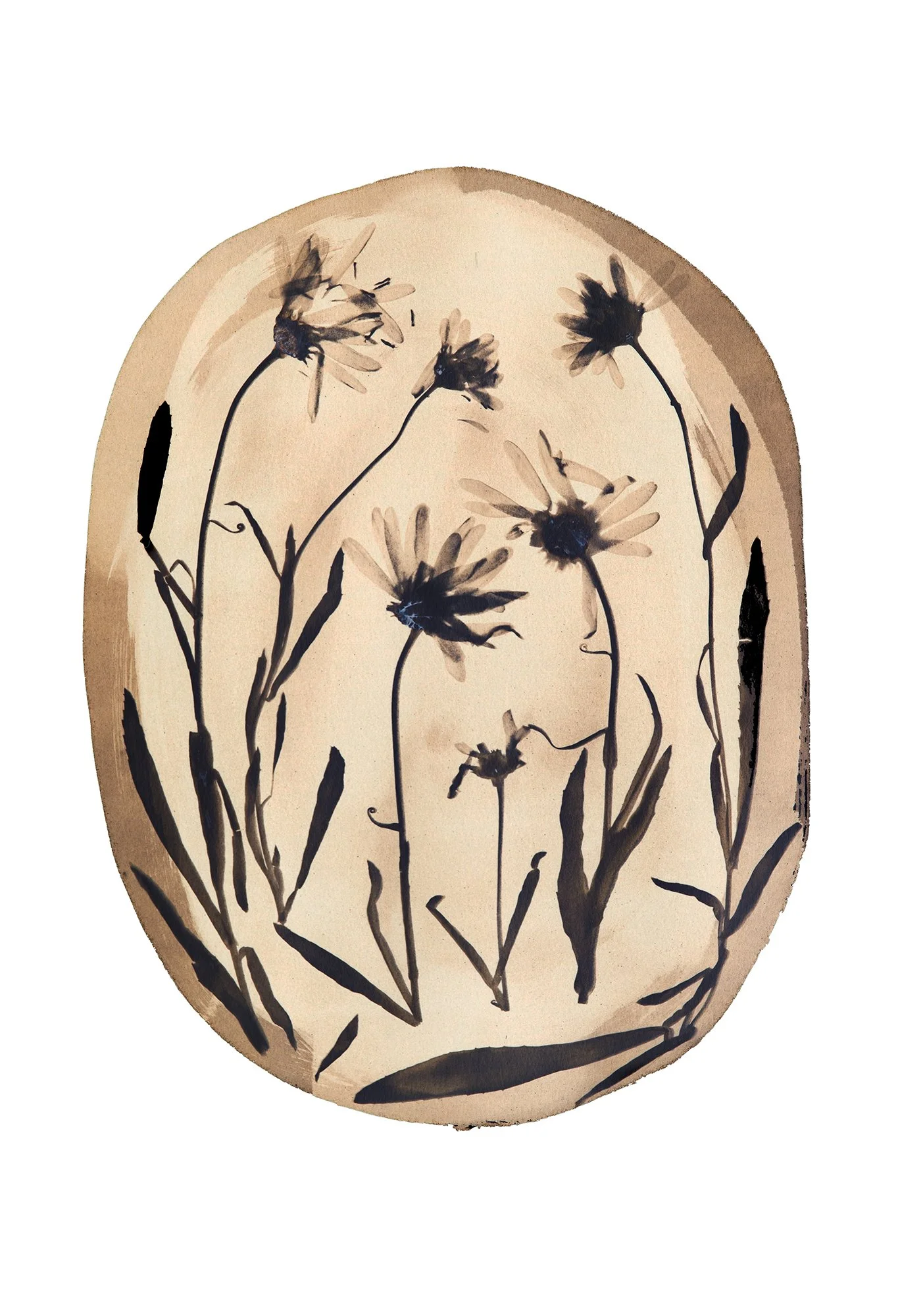 Crazy Daisies (Inverse)