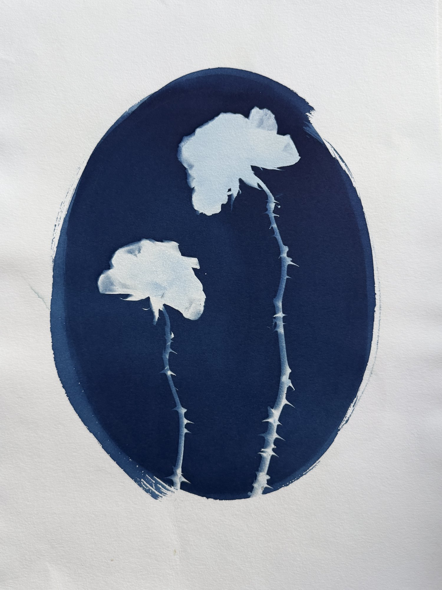 Roses with Thorns-ORIGINAL