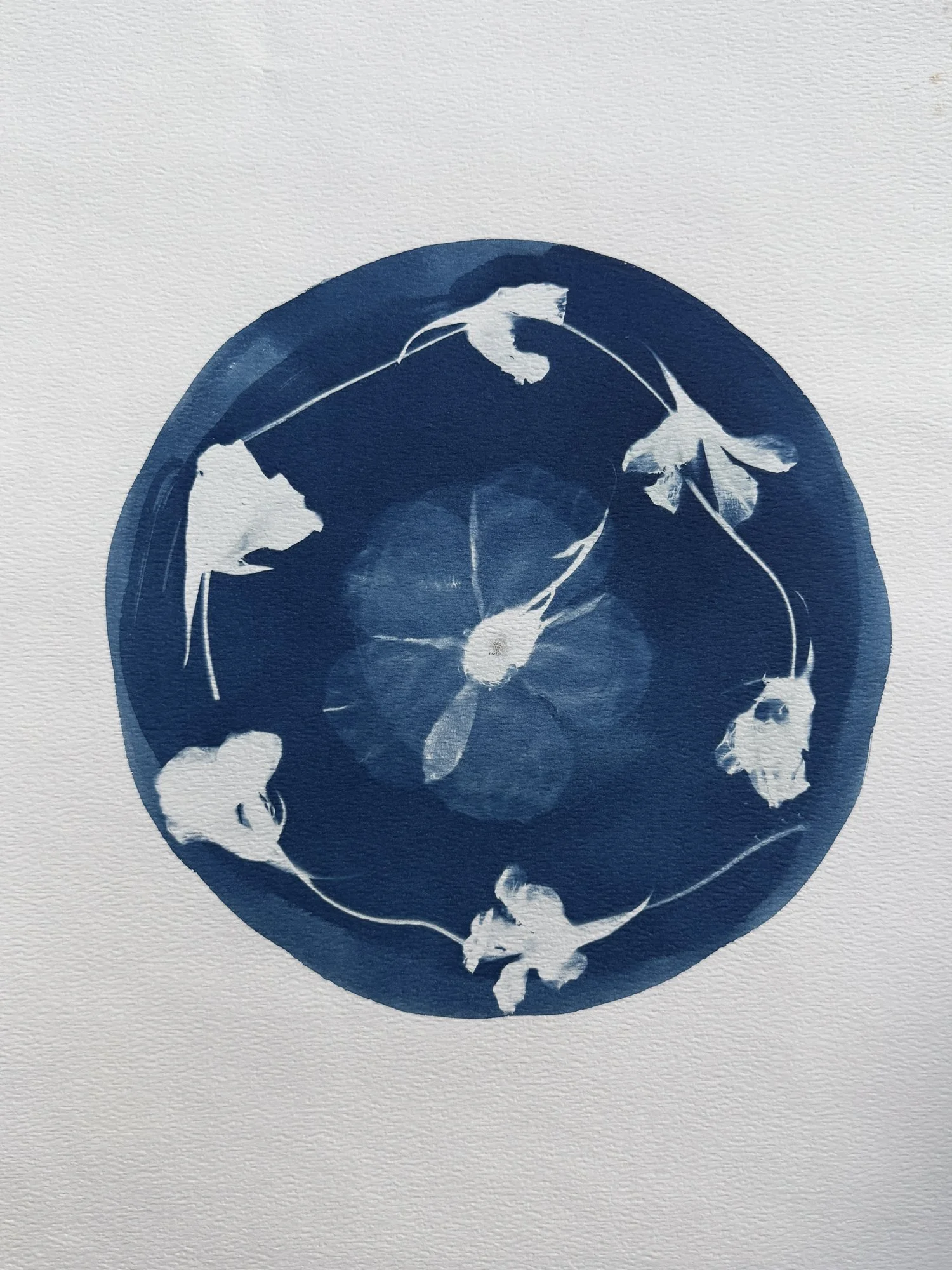 original-11x15botanical-8.jpg