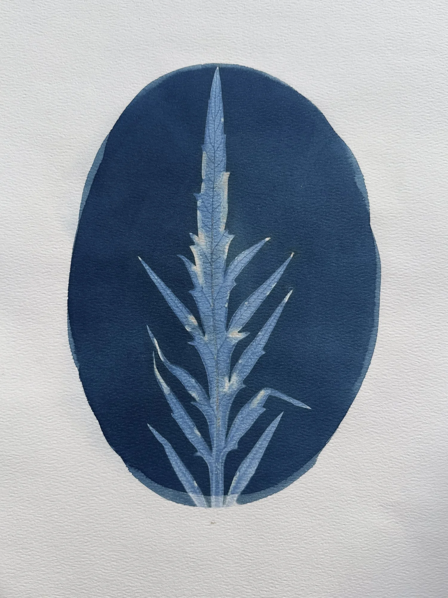 original-11x15botanical-4.jpg