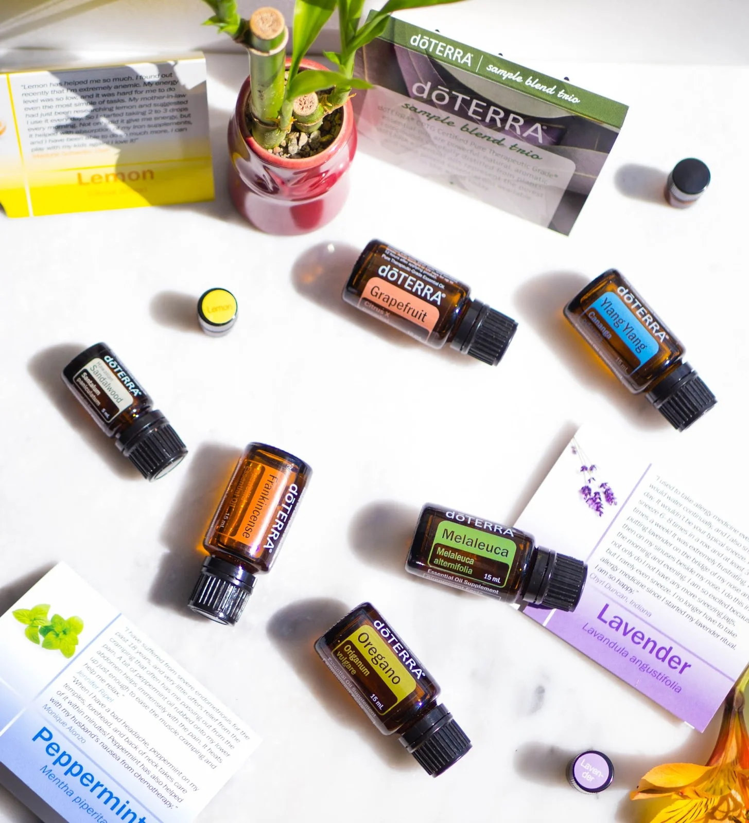 doTERRA-7.jpg