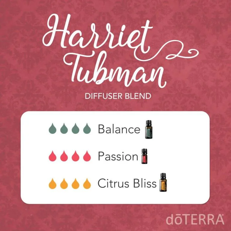 2/21/17 | Daily Drop of Inspiration