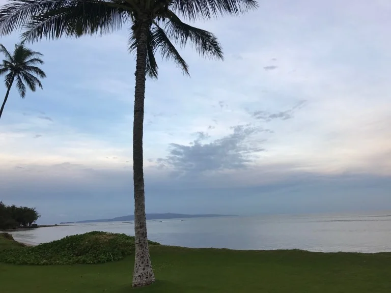 2/28/17 | Daily Drop of Inspiration